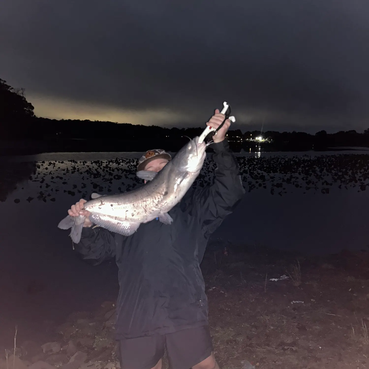 Blue catfish caught on Fishbrain