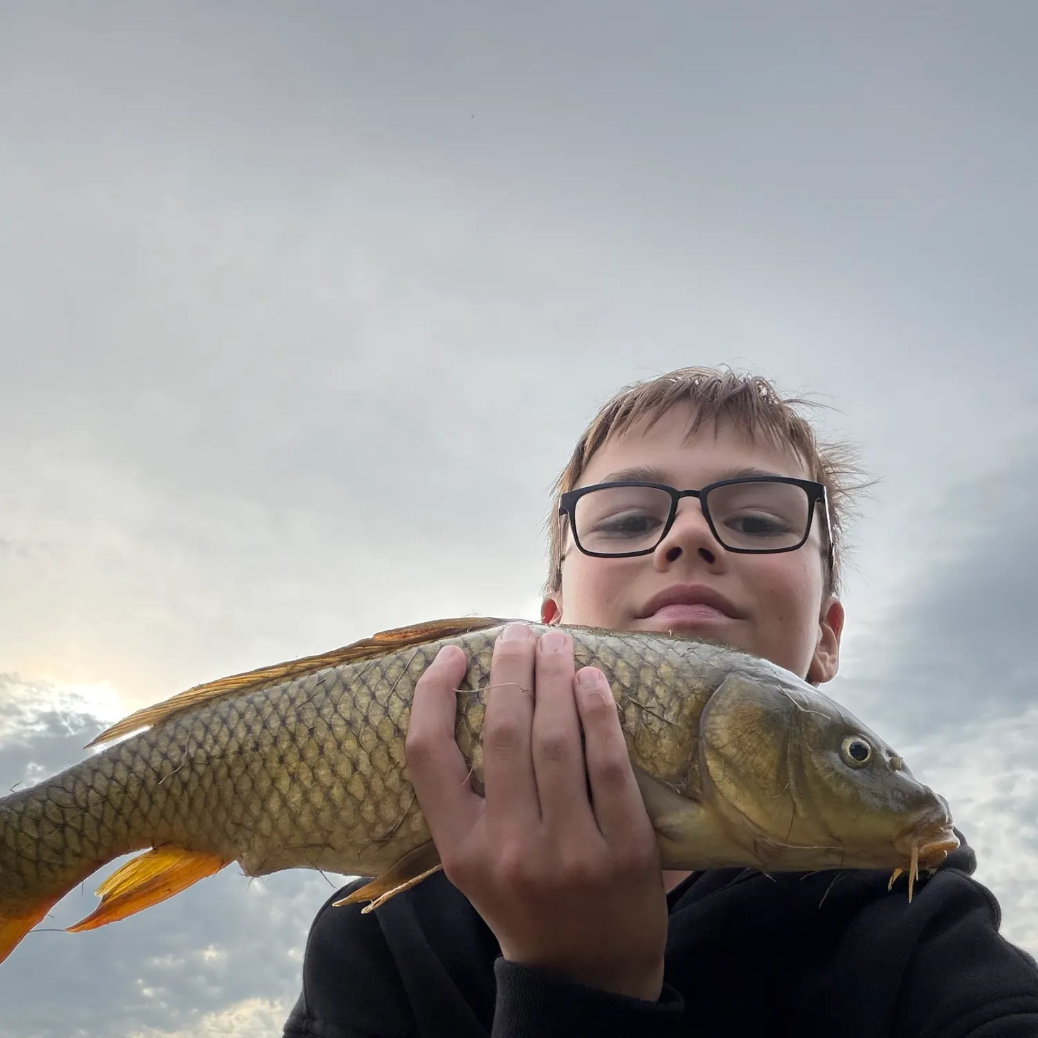 Common carp caught on Fishbrain
