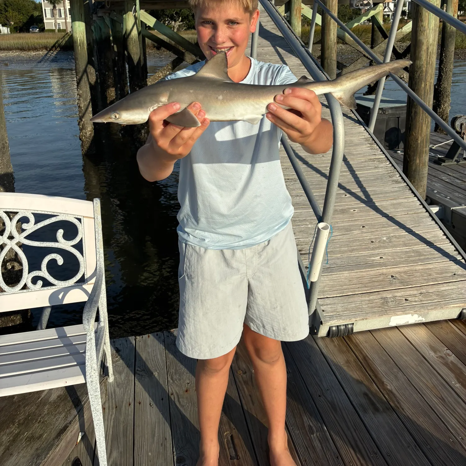 Atlantic sharpnose shark caught on Fishbrain