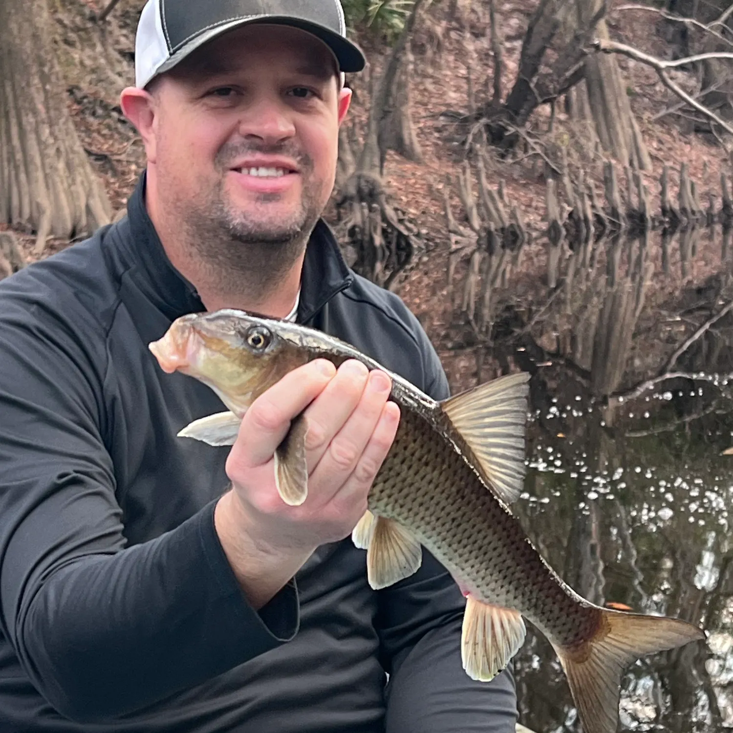 The most recent Spotted sucker catches on Fishbrain