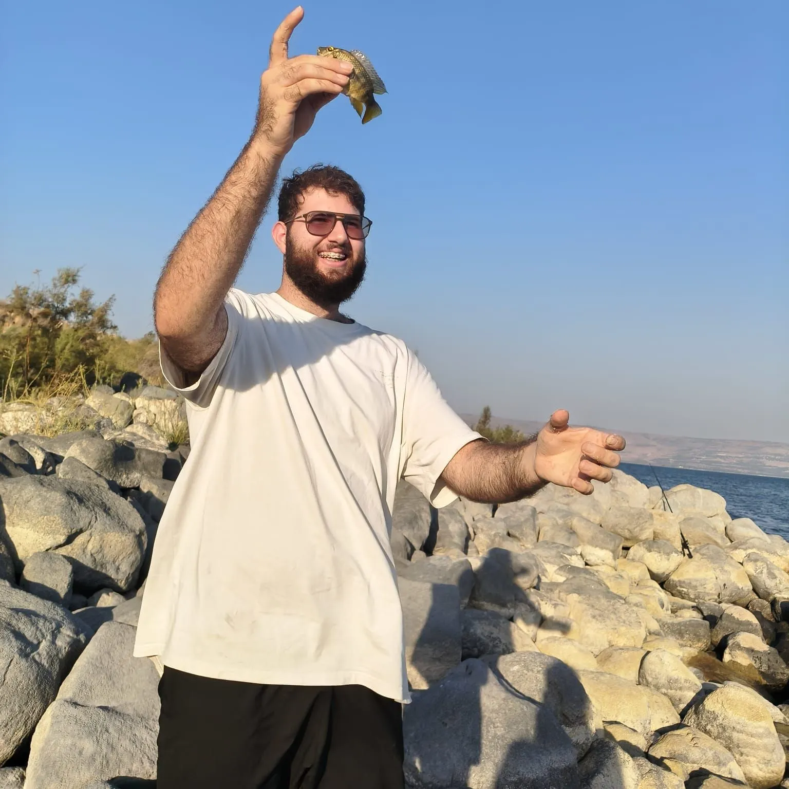 The most recent Redbreast tilapia catches on Fishbrain