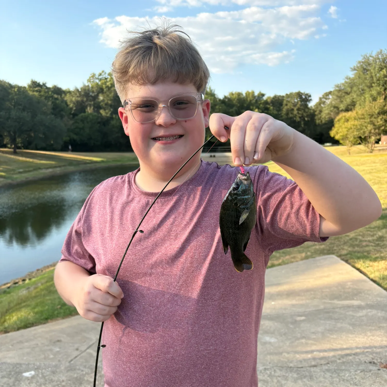Bluegill caught on Fishbrain