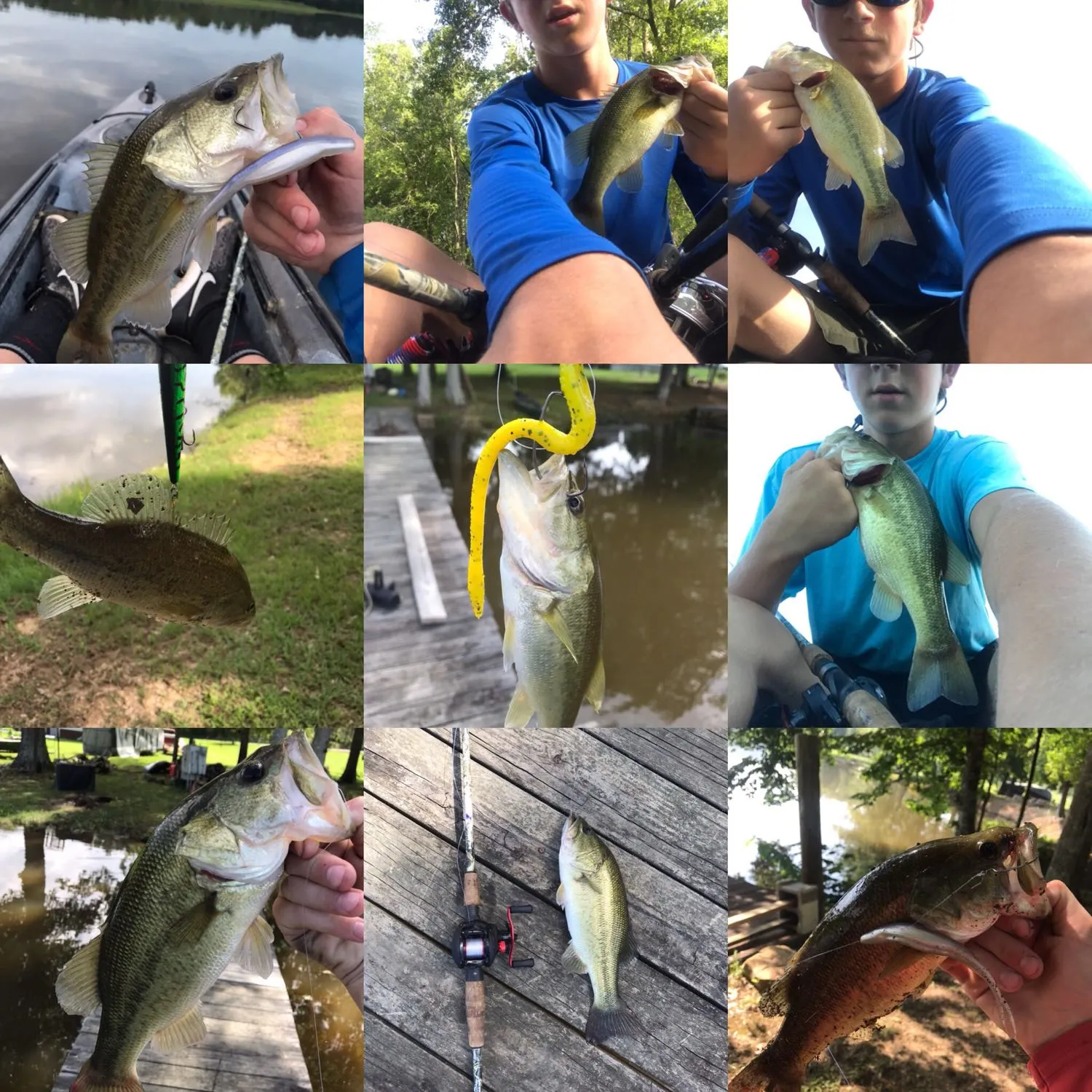 recently logged catches