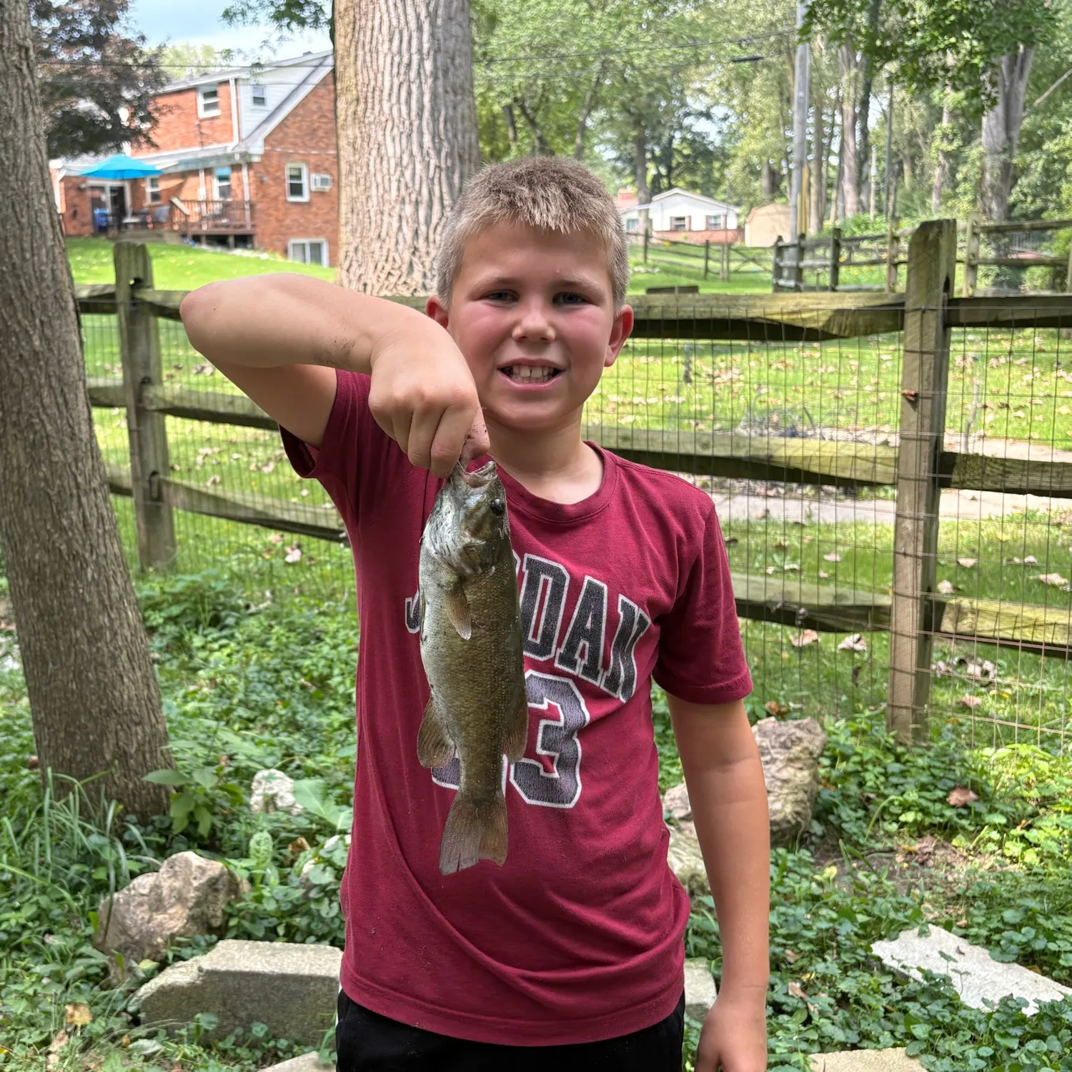 Smallmouth bass caught on Fishbrain