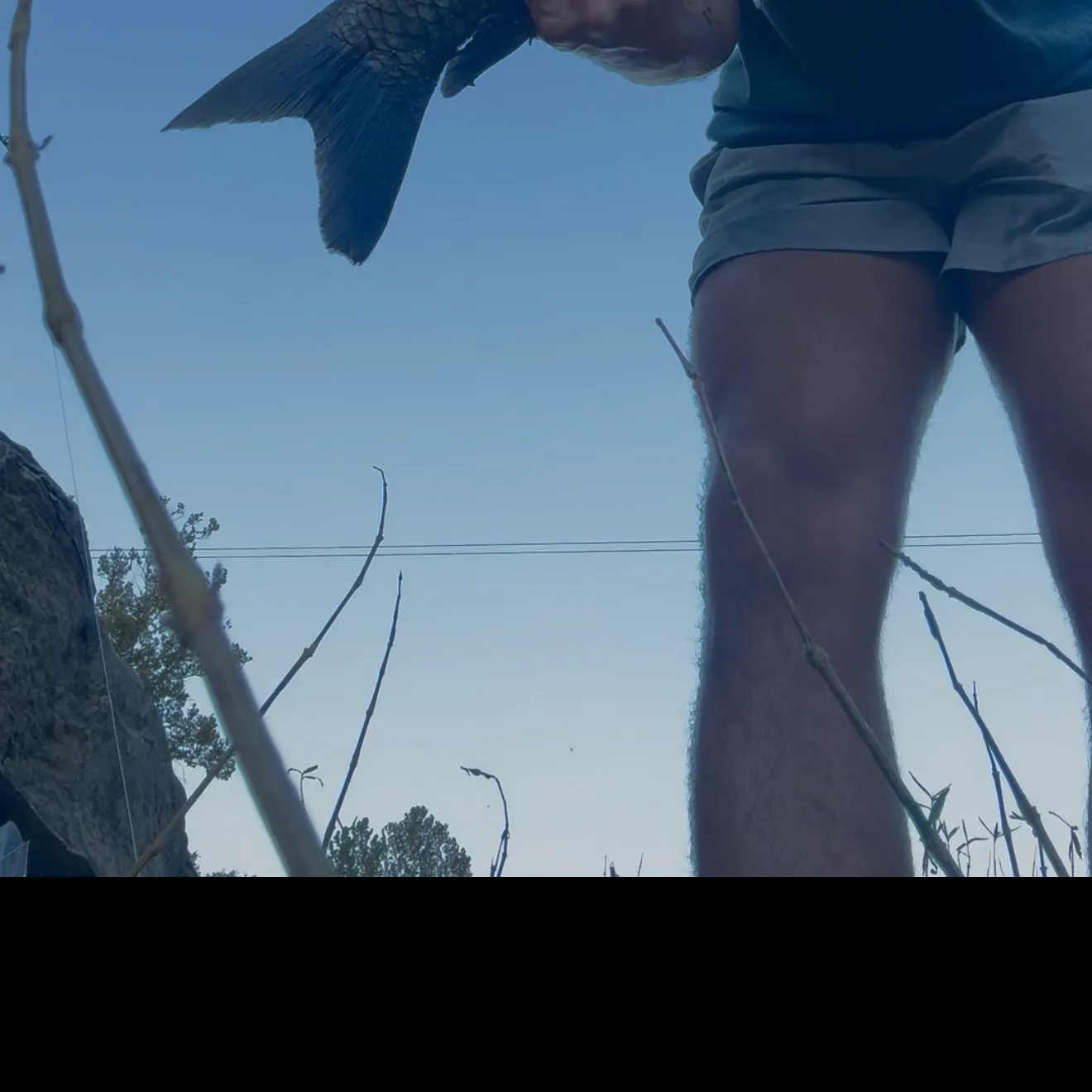Smallmouth buffalo caught on Fishbrain