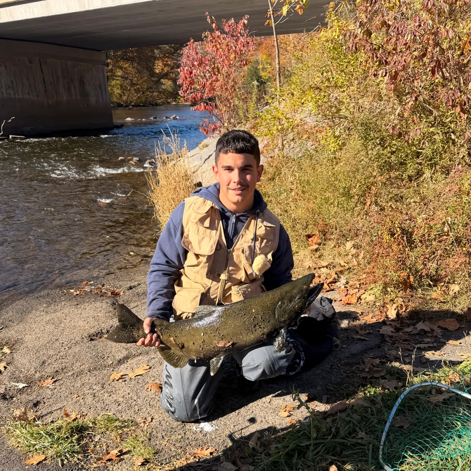 Chinook salmon caught on Fishbrain