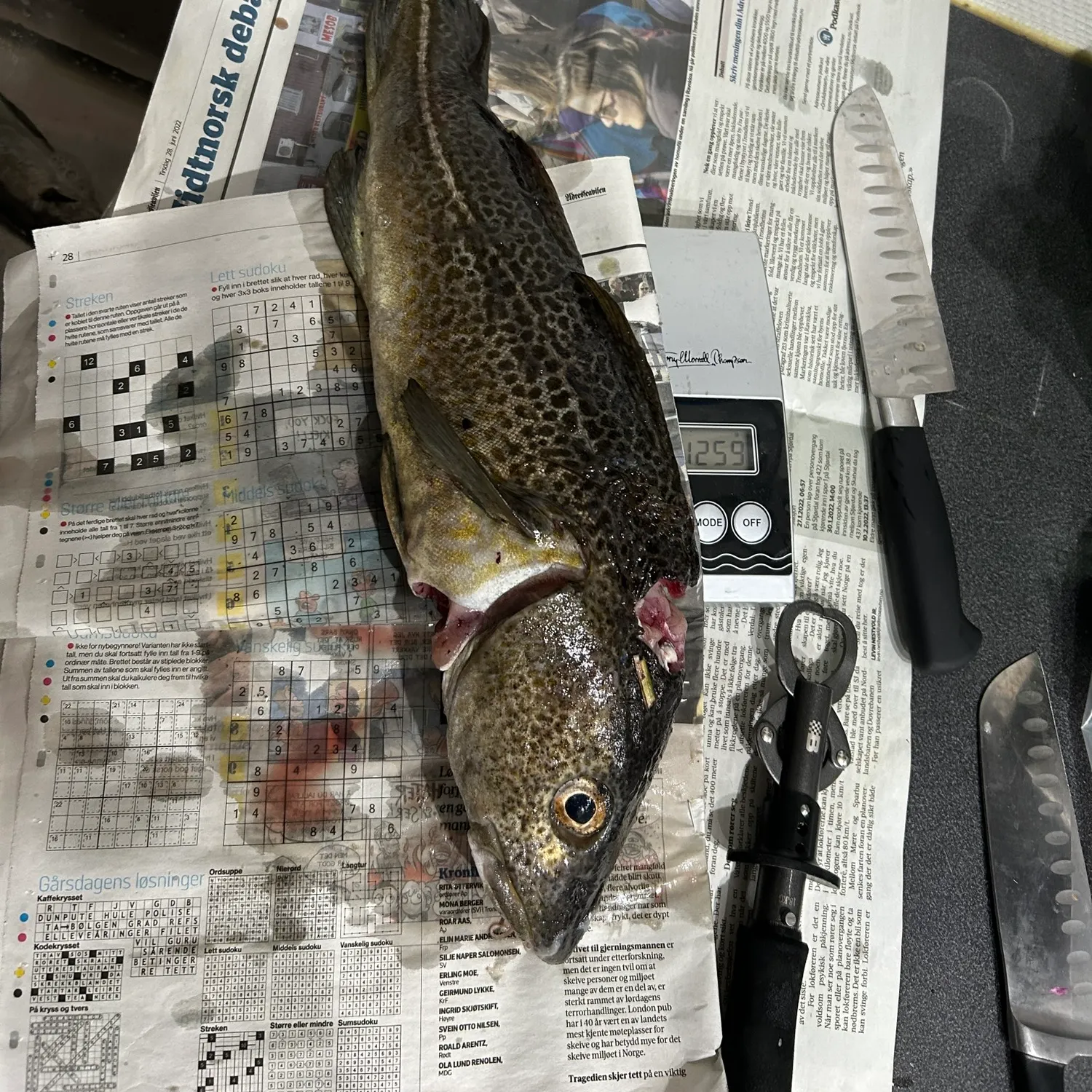 recently logged catches