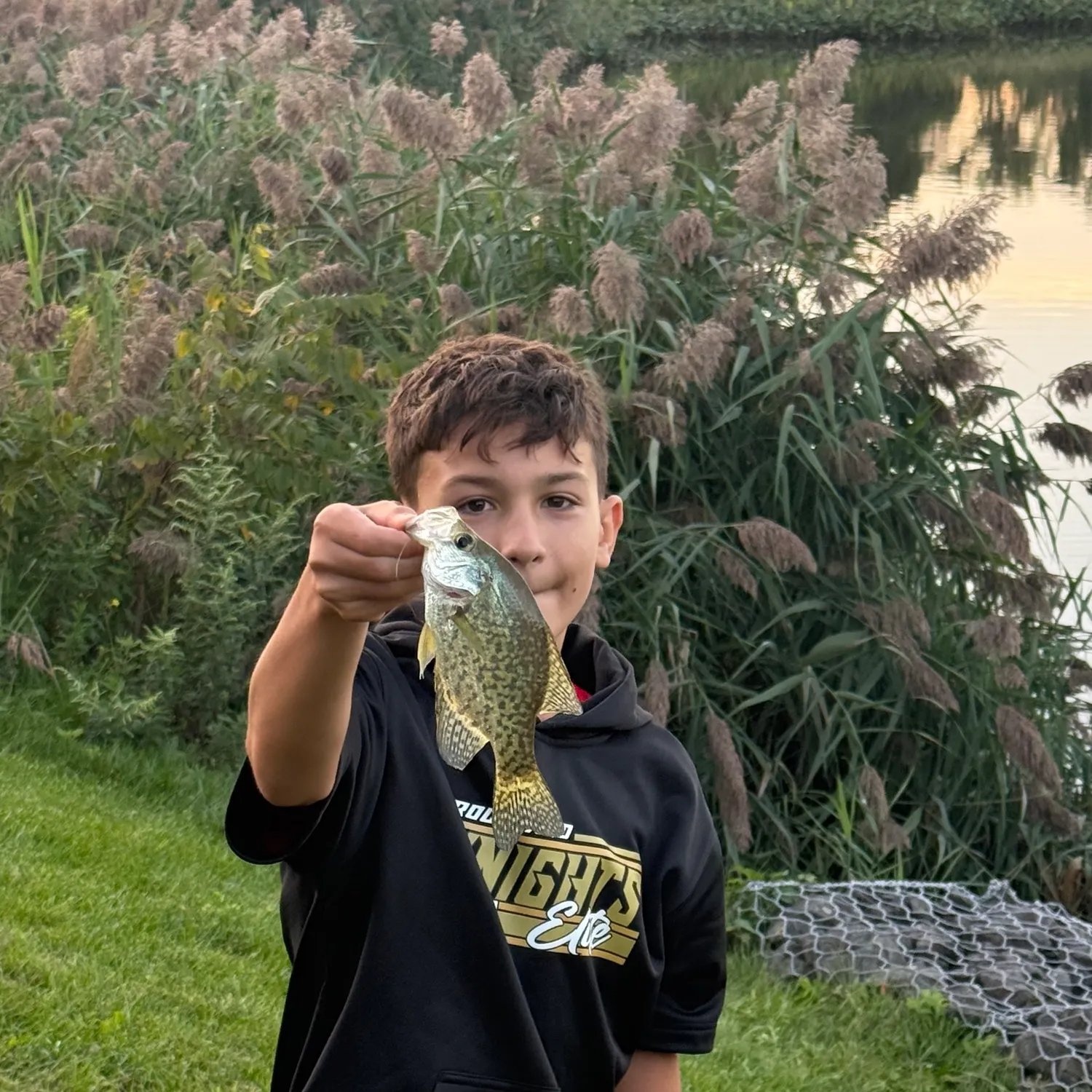 Black crappie caught on Fishbrain