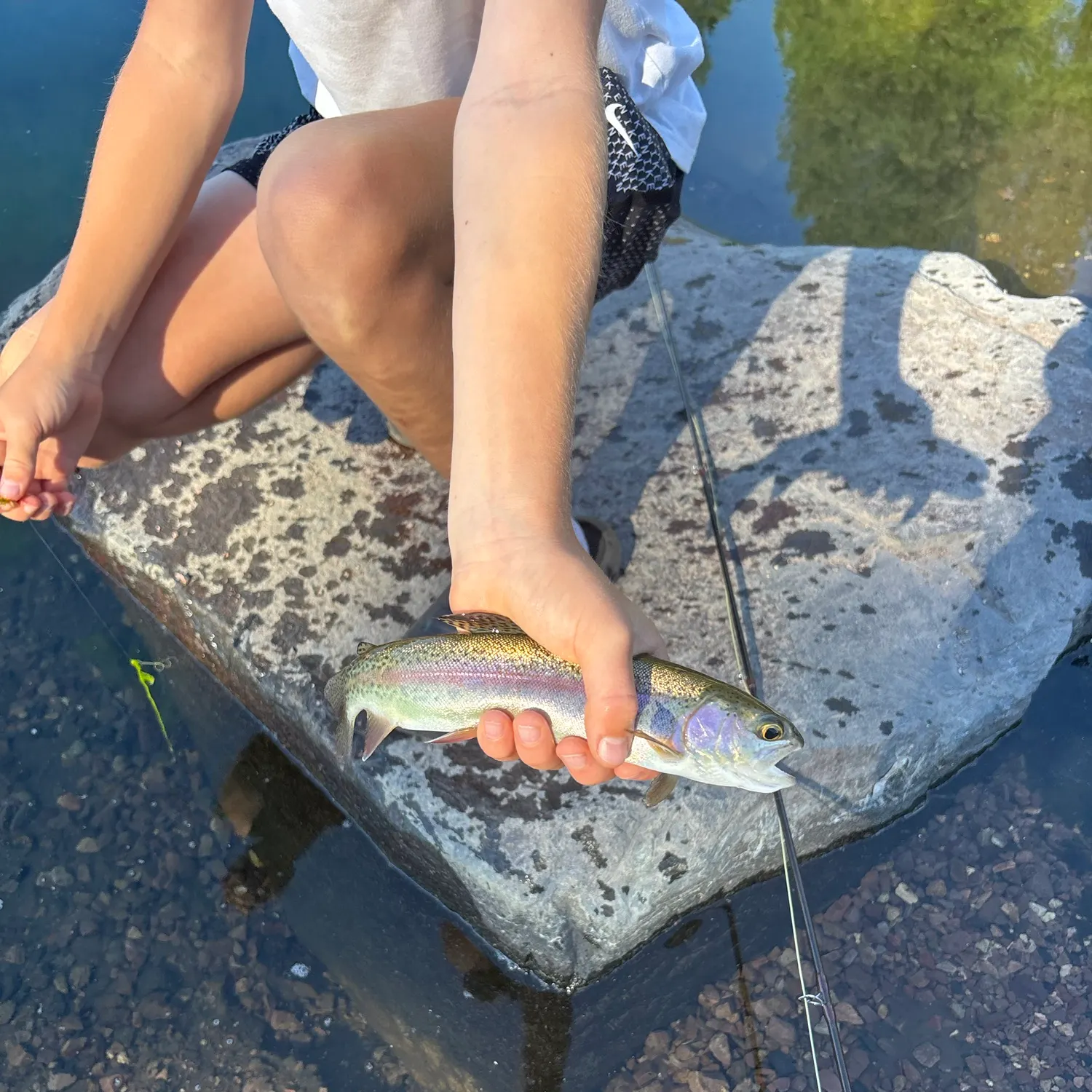 Rainbow trout caught on Fishbrain