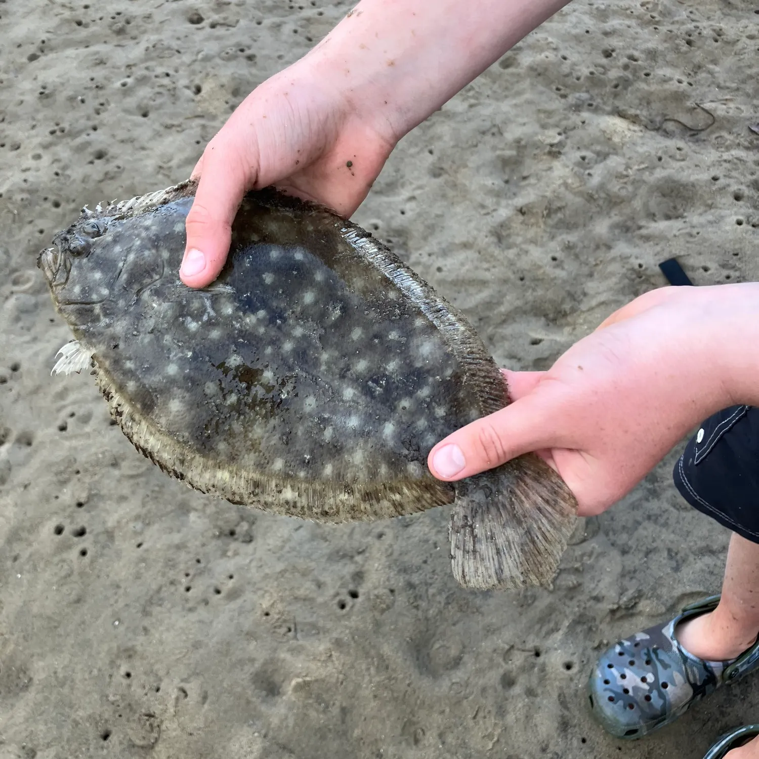 Fish caught on Fishbrain