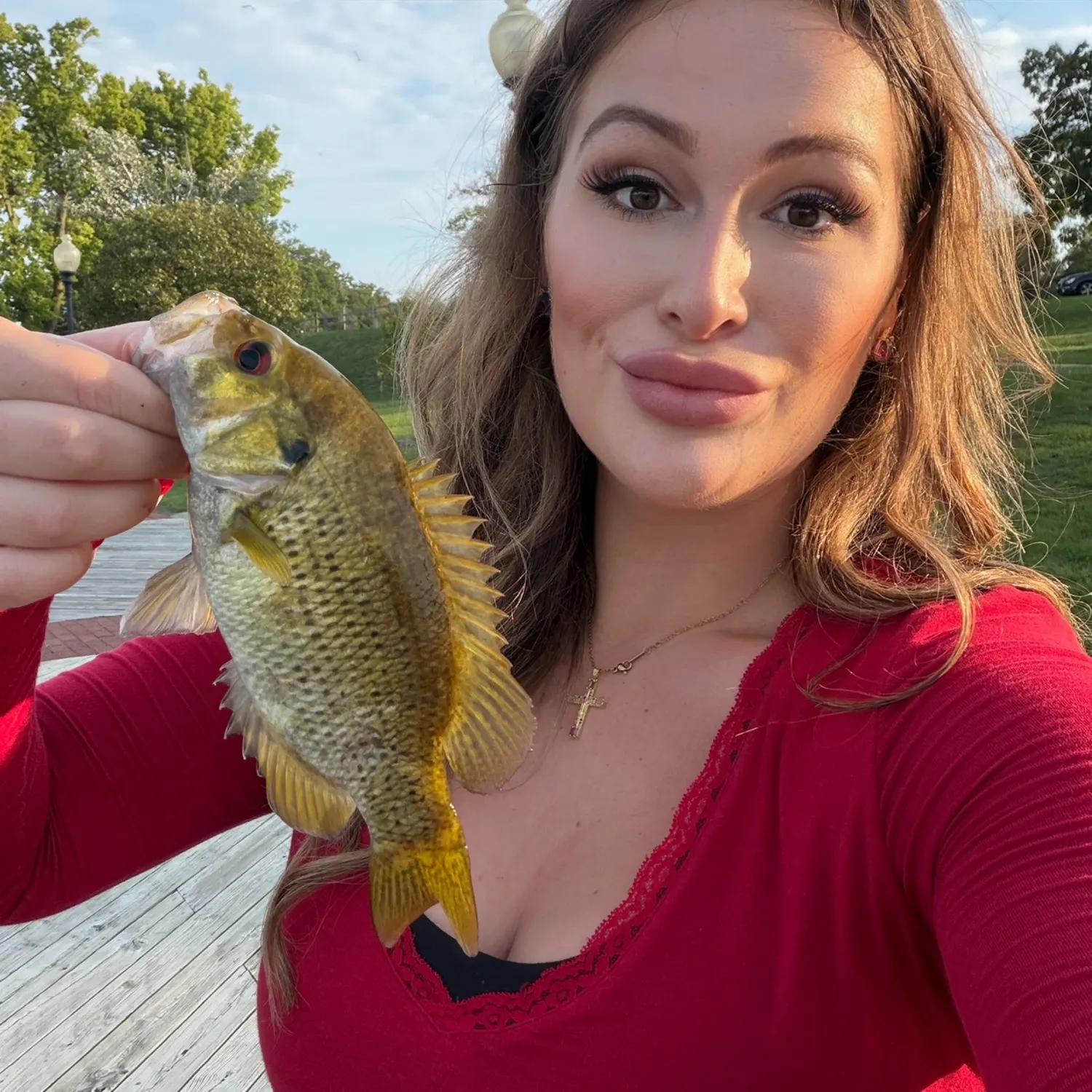 Rock bass caught on Fishbrain
