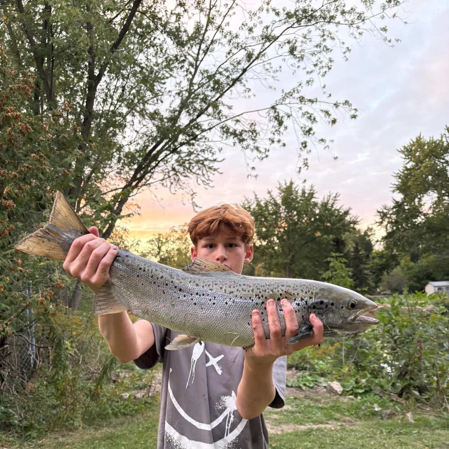 Fish caught on Fishbrain