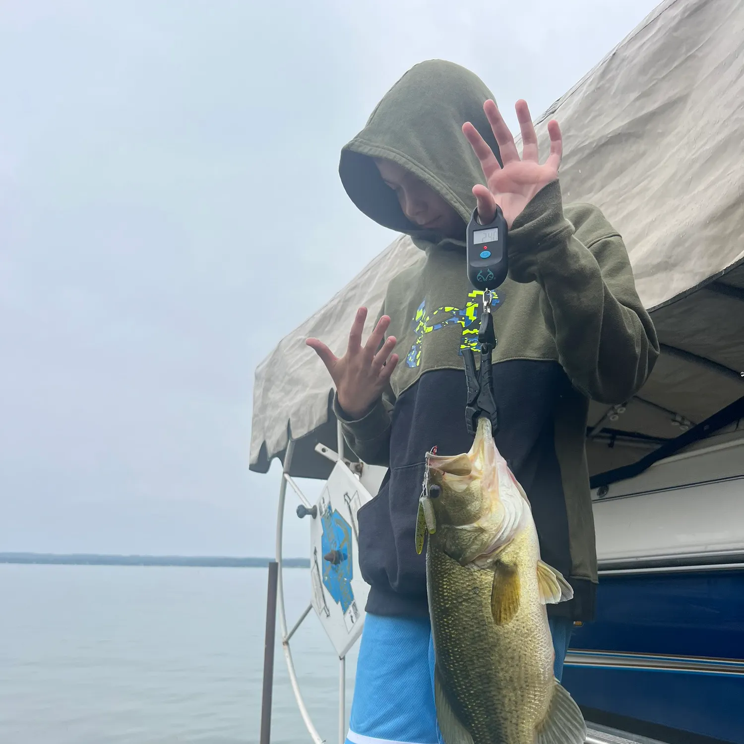 Largemouth bass caught on Fishbrain