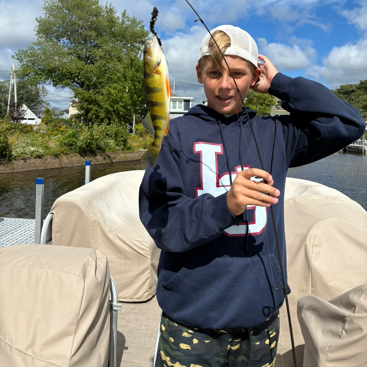 Yellow perch caught on Fishbrain