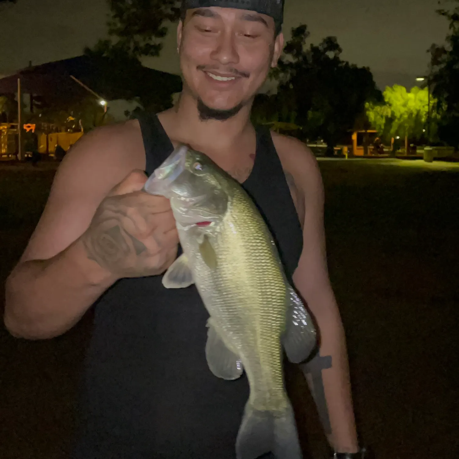 Largemouth bass caught on Fishbrain