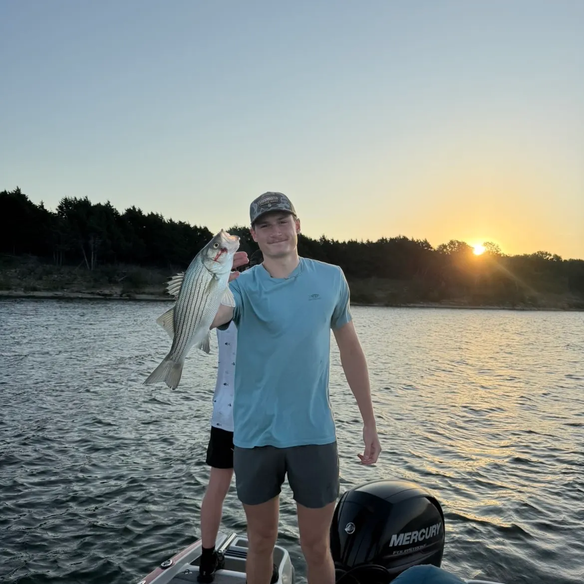 The most recent Wiper catches on Fishbrain