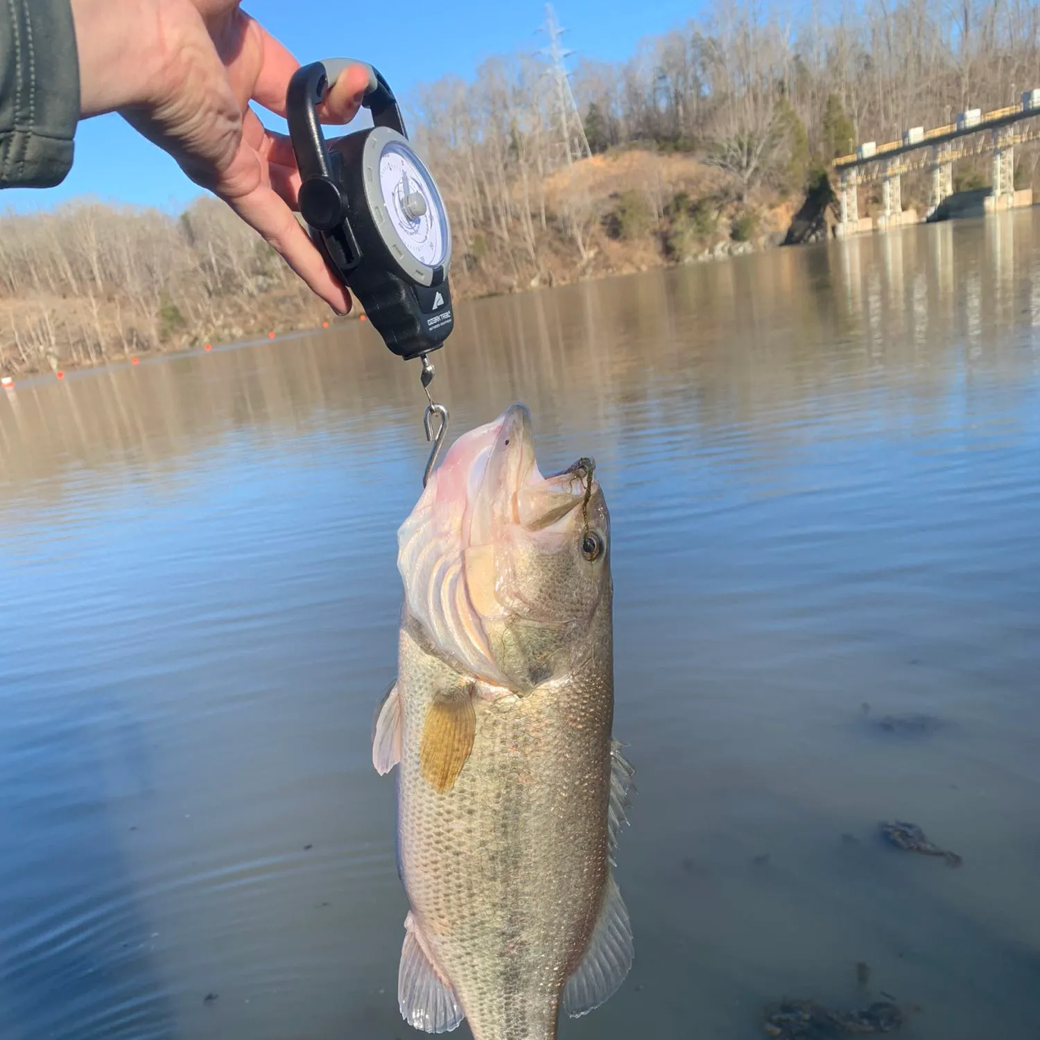 angler catch
