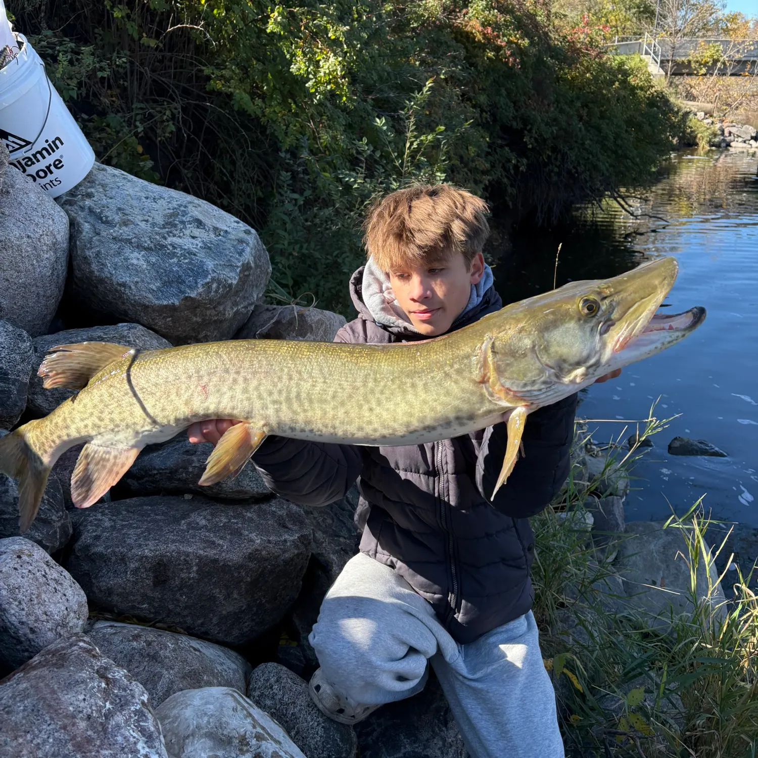 catch