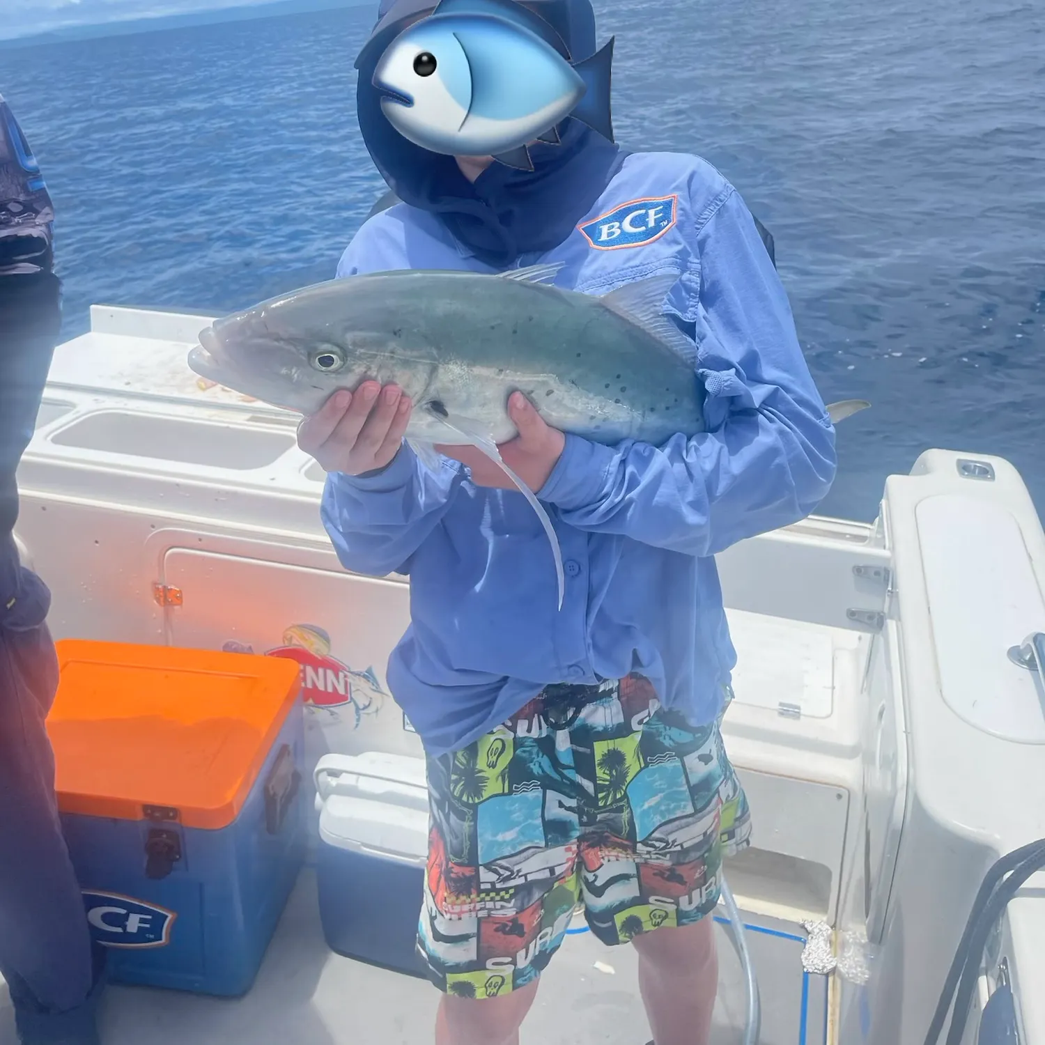 The most recent Bludger catches on Fishbrain