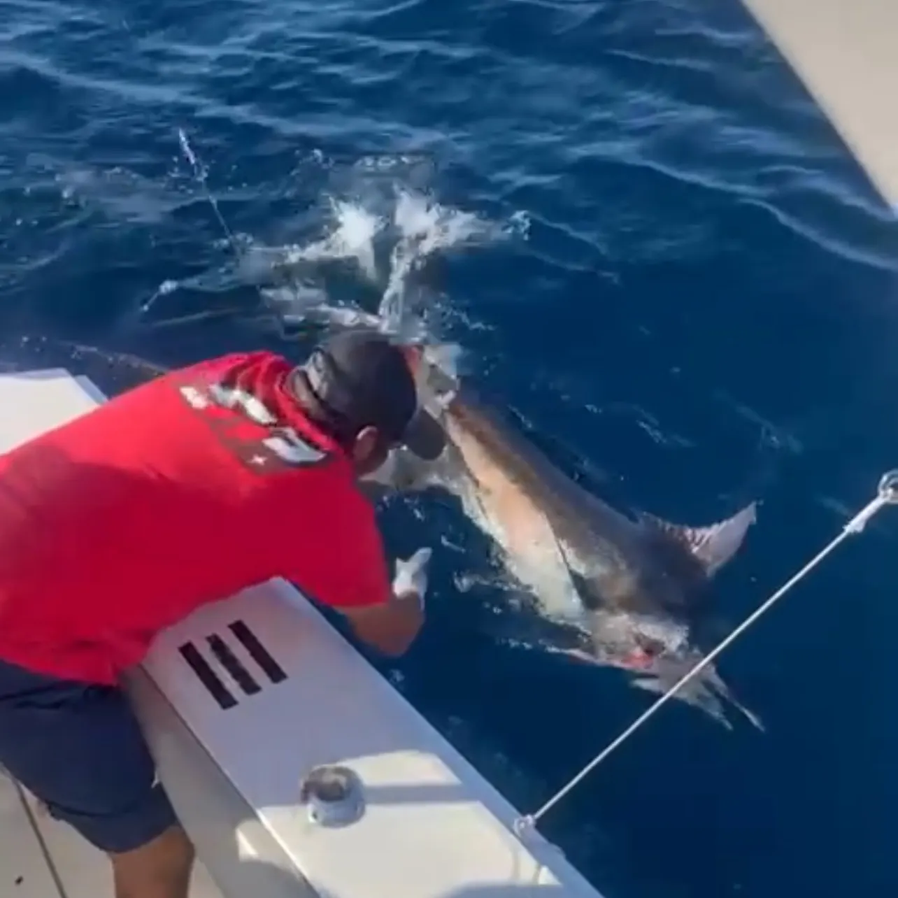 The most recent Atlantic blue marlin catches on Fishbrain
