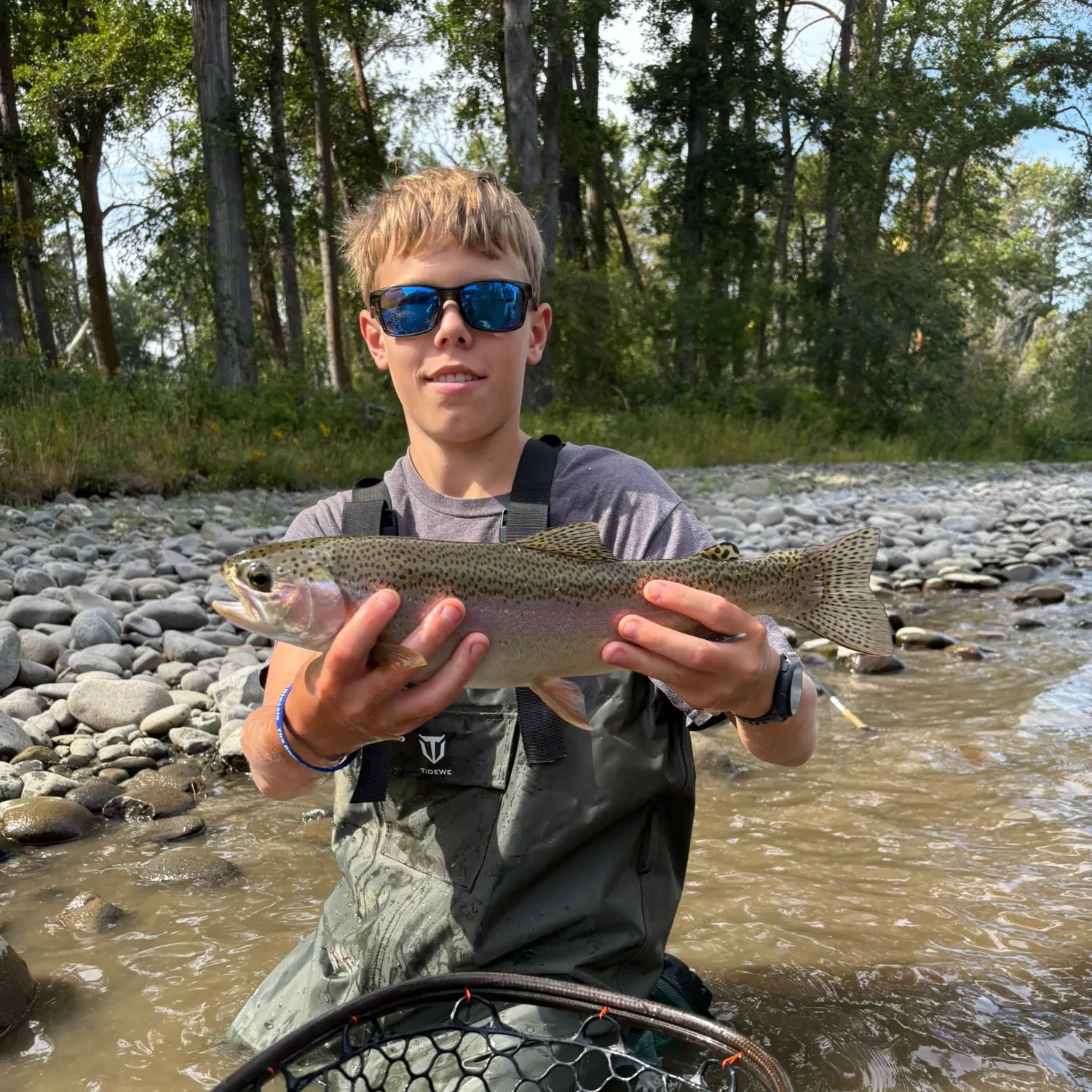 Rainbow trout caught on Fishbrain