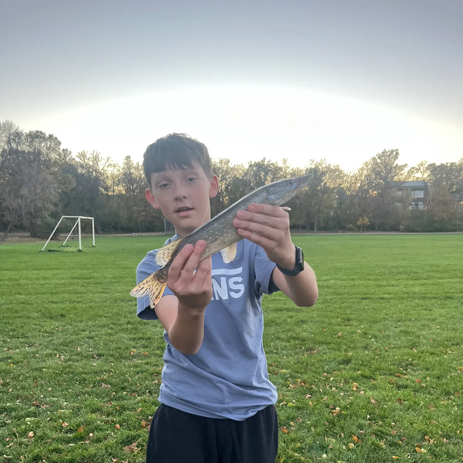 Northern pike caught on Fishbrain