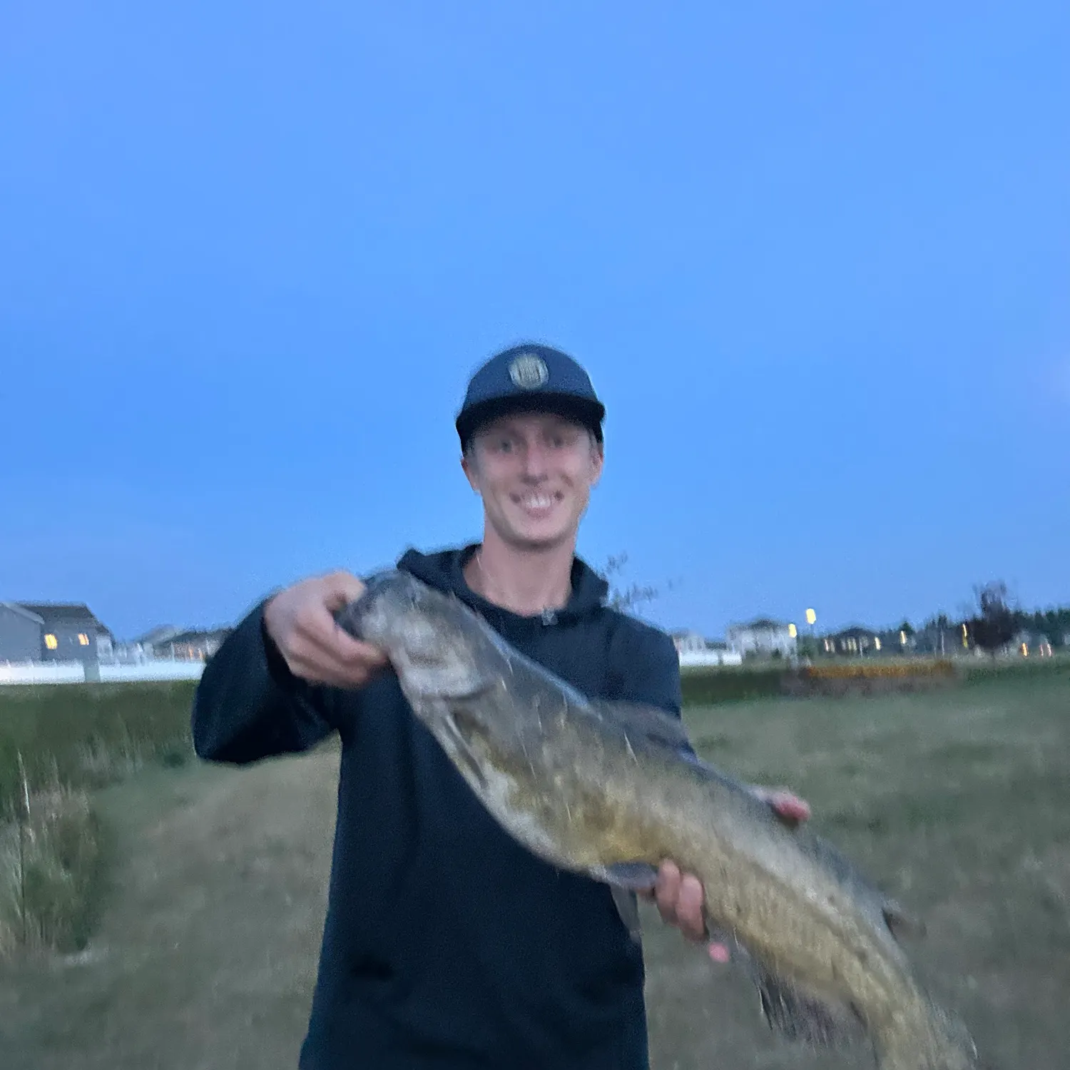 Channel catfish caught on Fishbrain