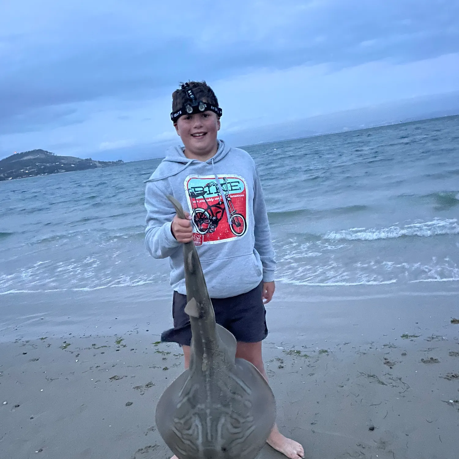 The most recent Southern fiddler catches on Fishbrain