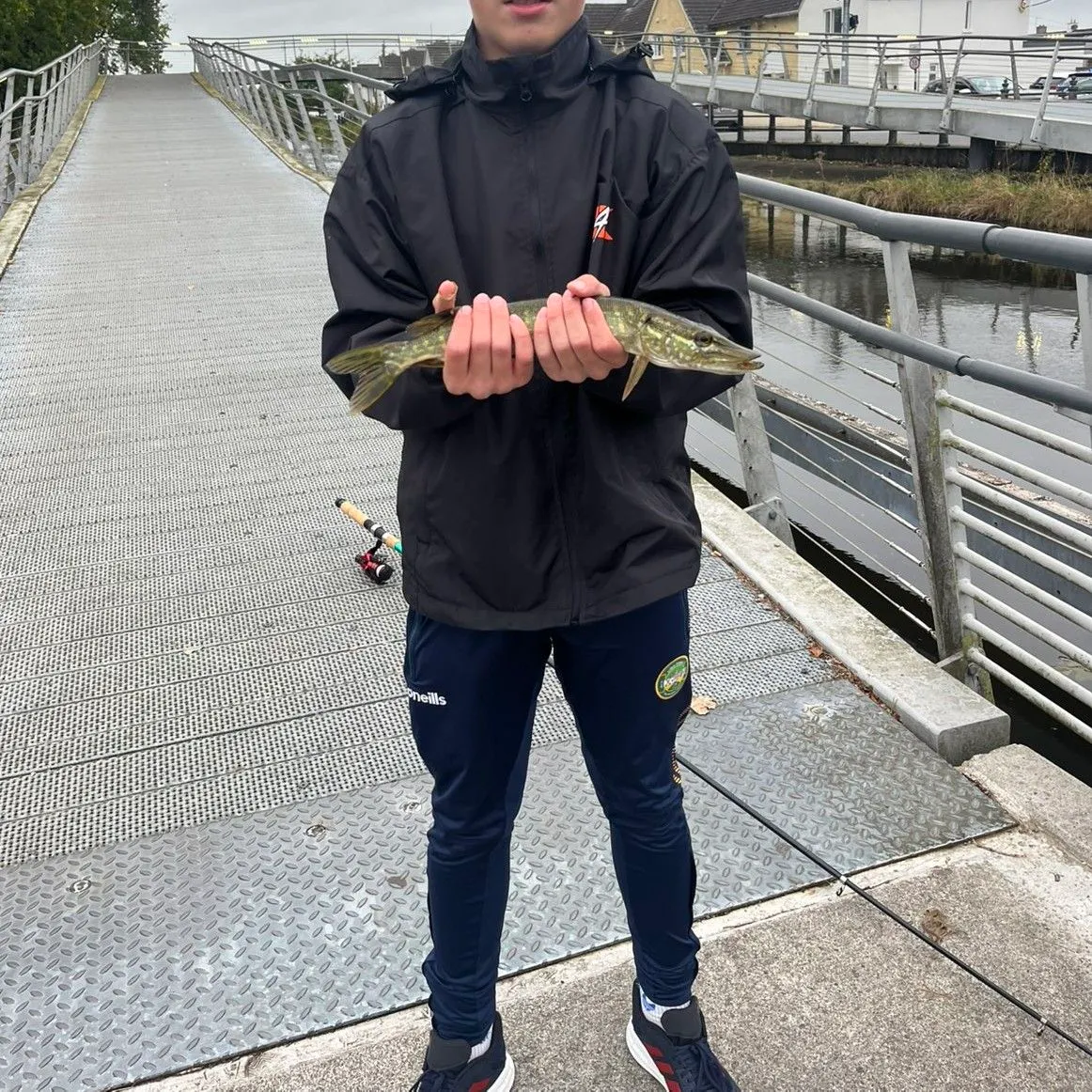 Northern pike caught on Fishbrain