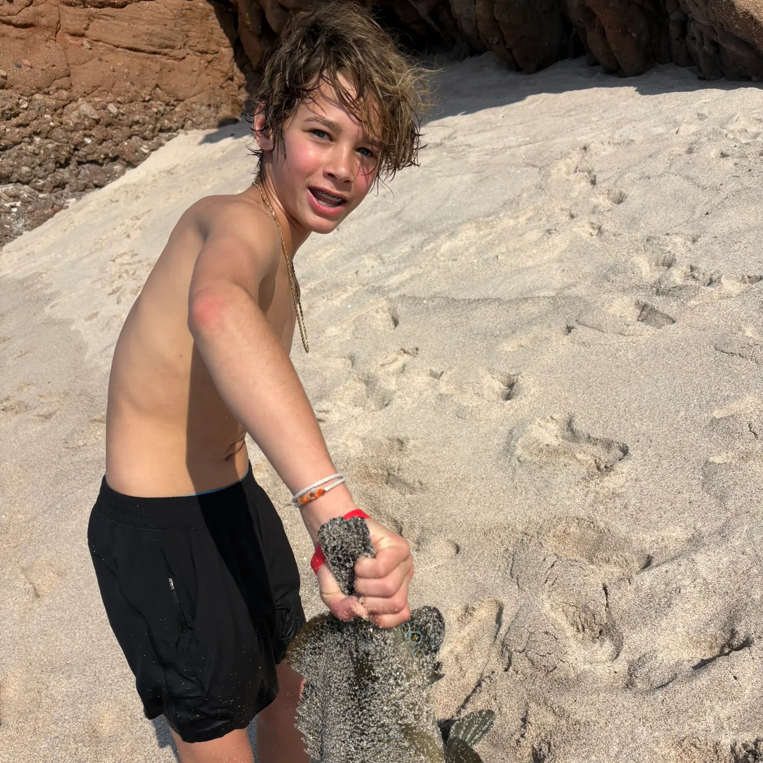 The most recent Giant hawkfish catches on Fishbrain