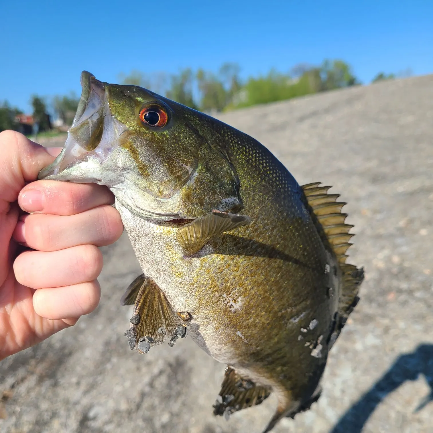 catch