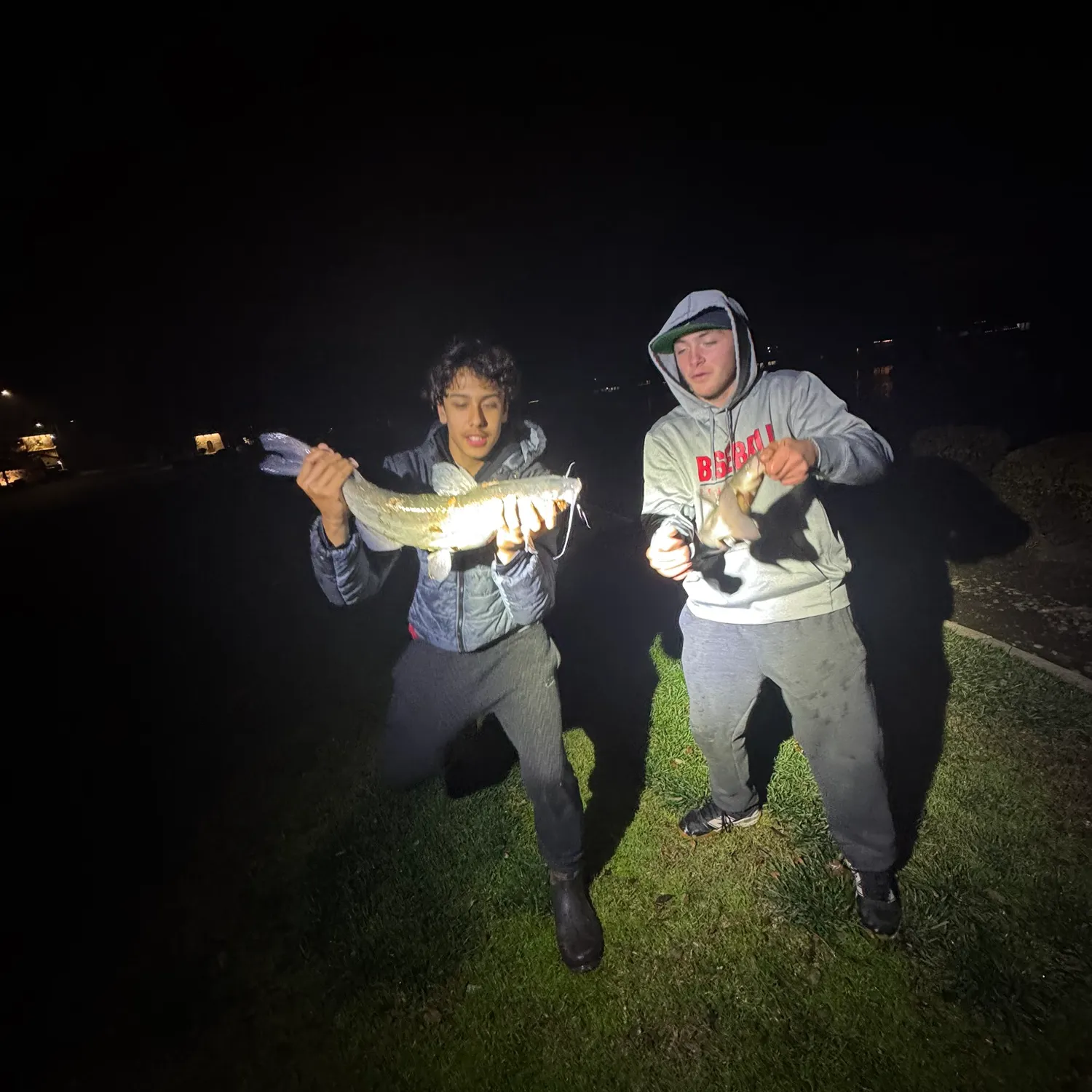 The most recent Channel catfish catches on Fishbrain