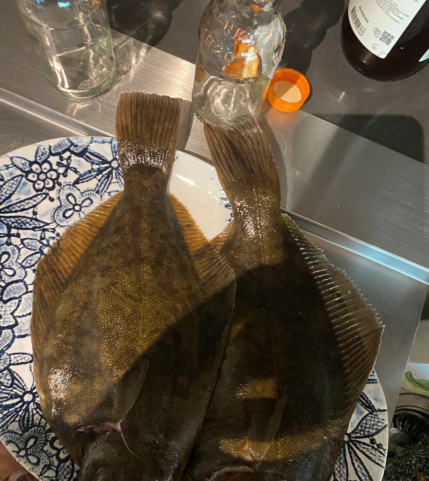 The most popular recent New Zealand flounder catch on Fishbrain