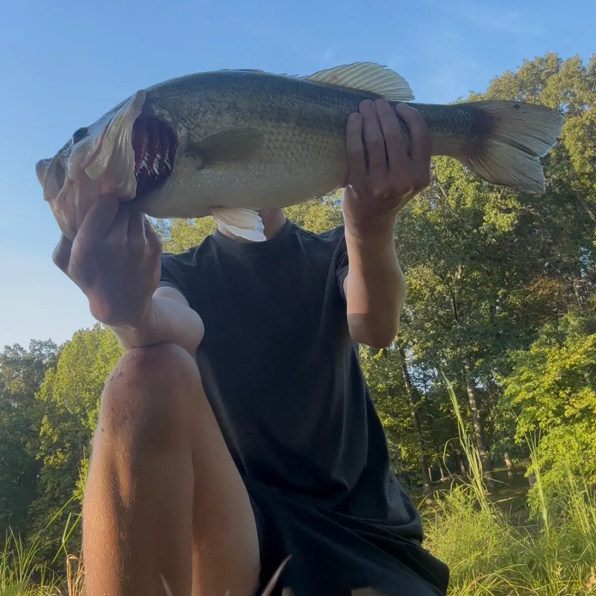 Largemouth bass caught on Fishbrain