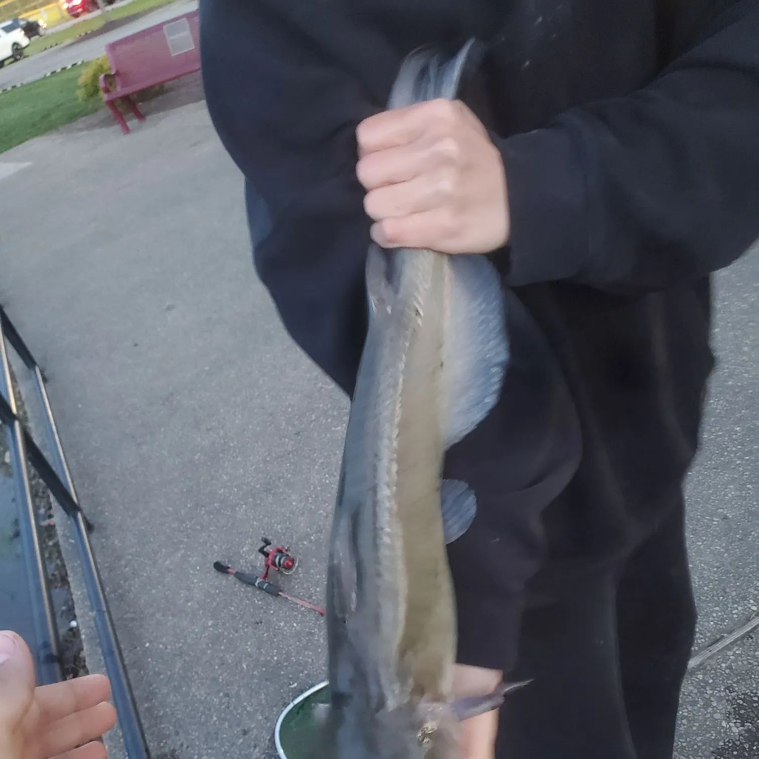 catch
