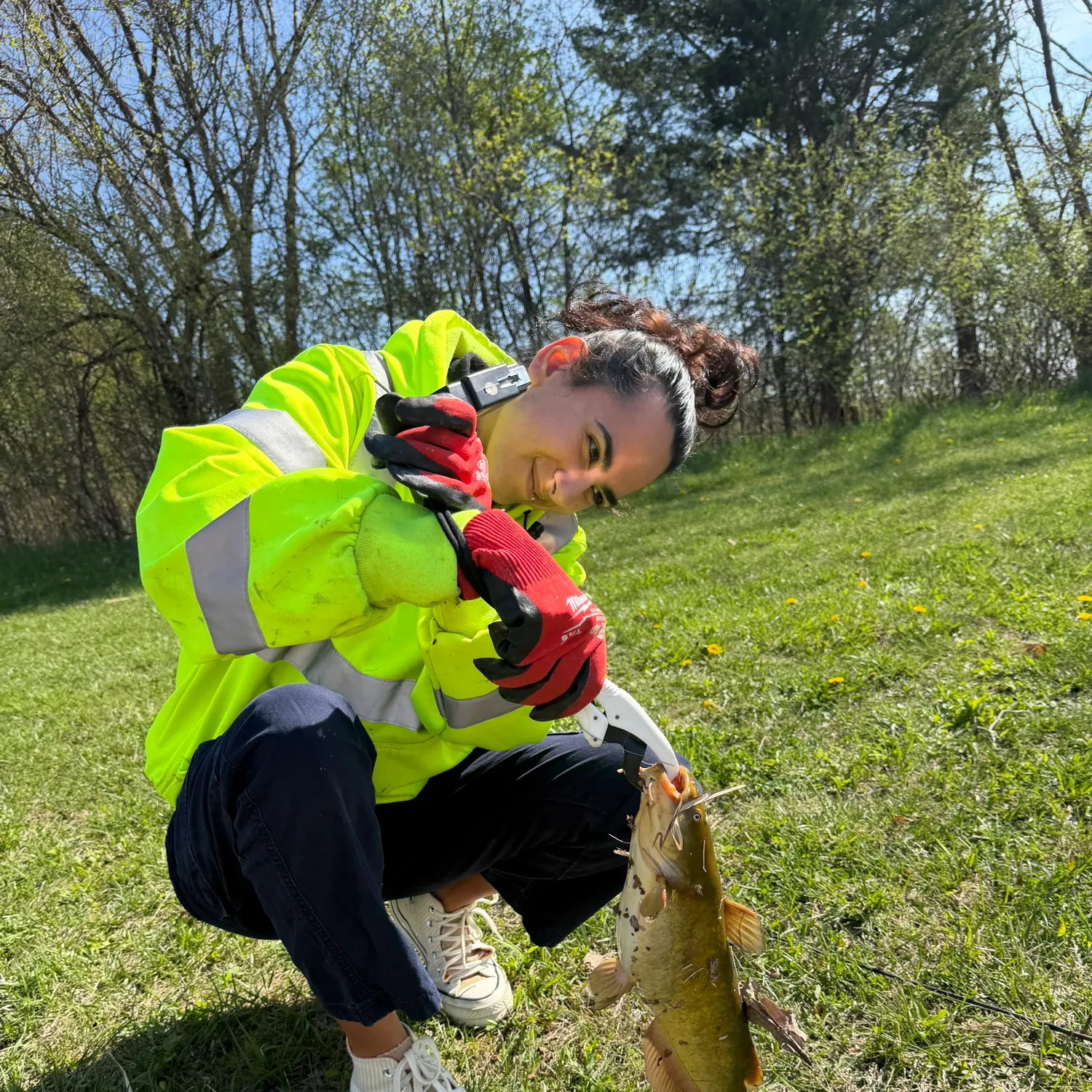 The most recent Yellow bullhead catches on Fishbrain