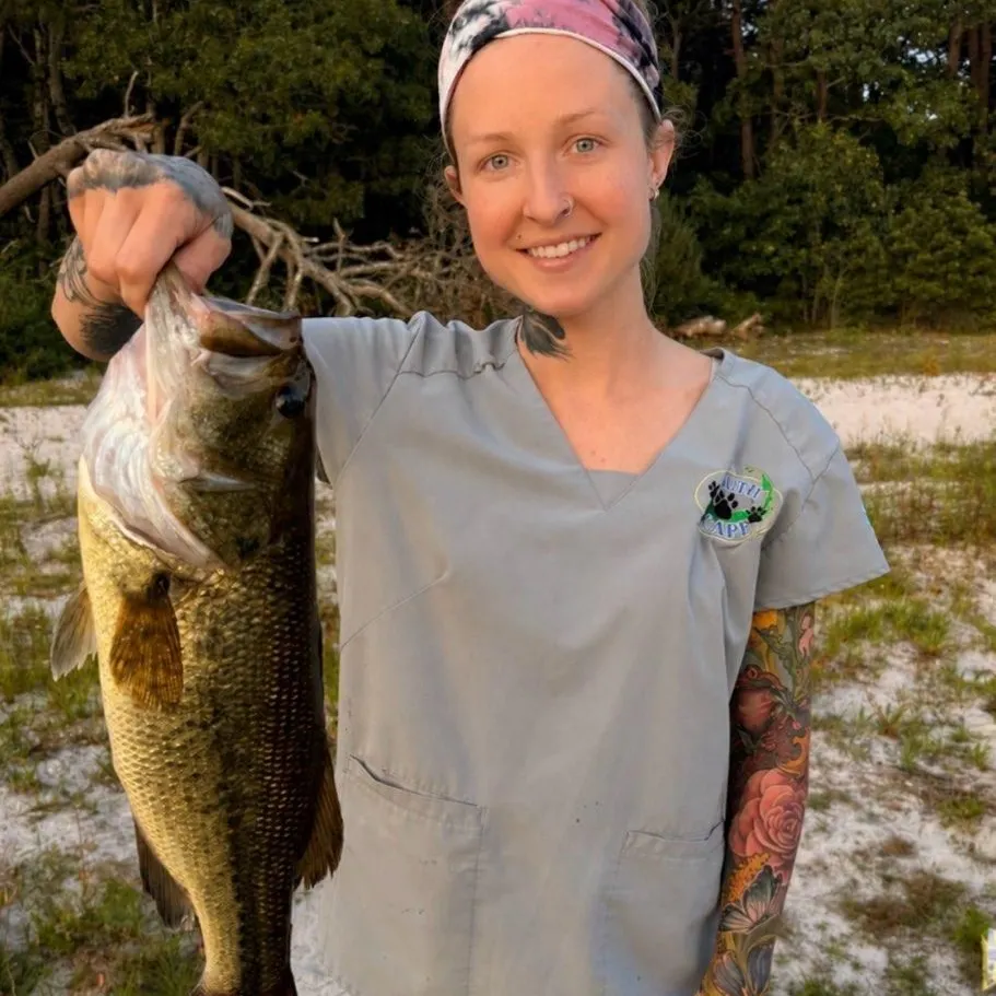 Largemouth bass caught on Fishbrain