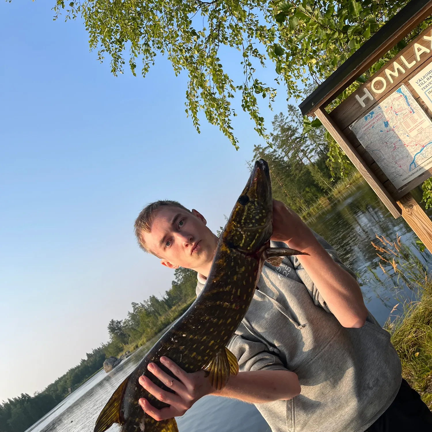 Northern pike caught on Fishbrain