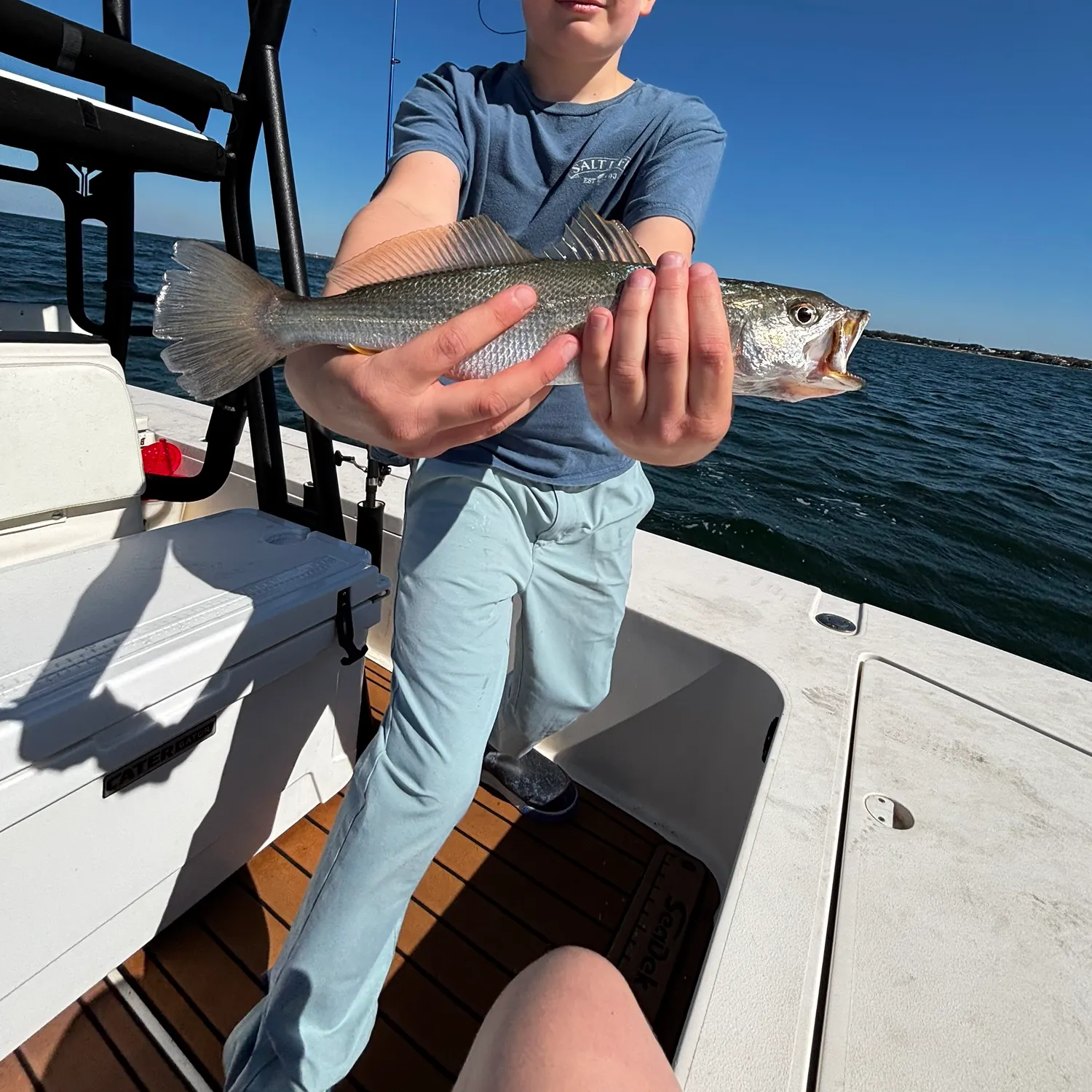 The most recent Sand seatrout catches on Fishbrain
