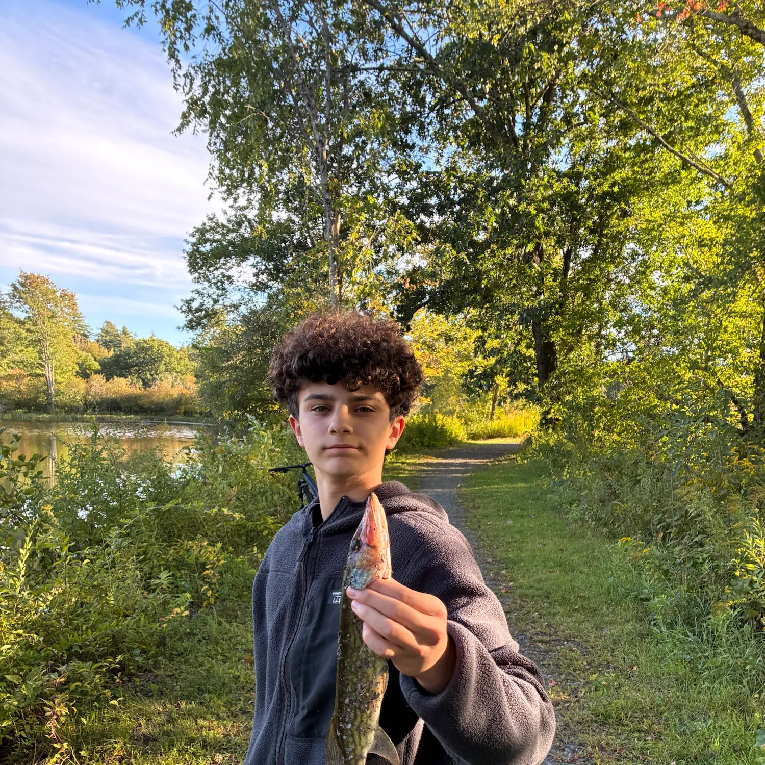 Chain pickerel caught on Fishbrain