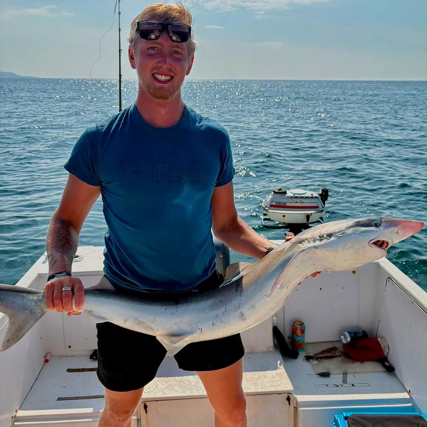 Tope shark caught on Fishbrain
