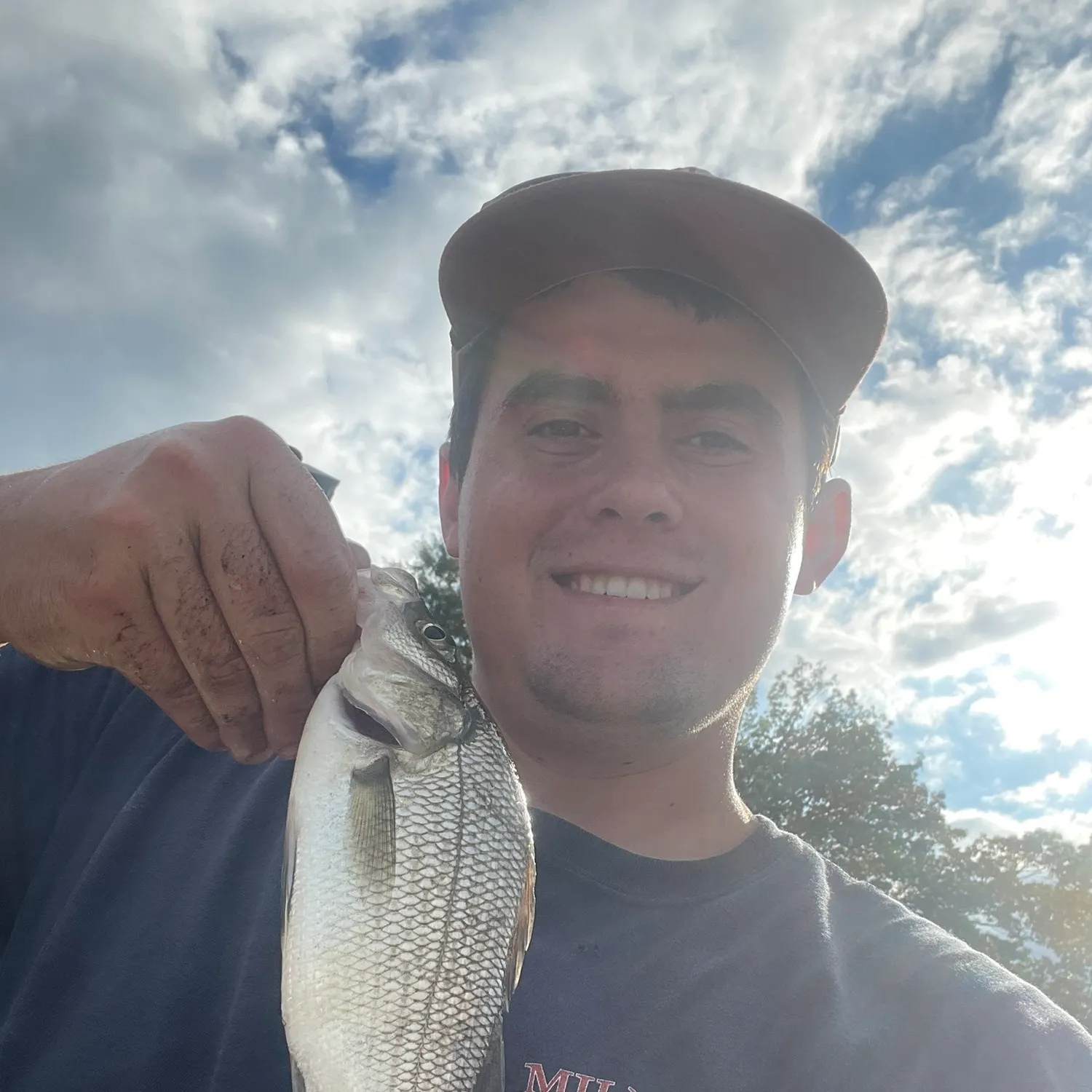 White perch caught on Fishbrain