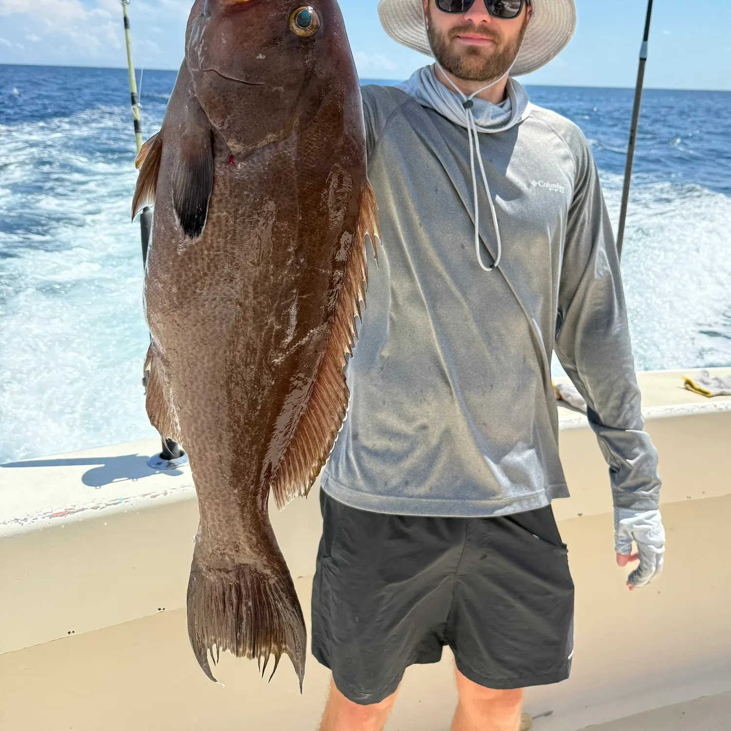 The most recent Scamp grouper catches on Fishbrain