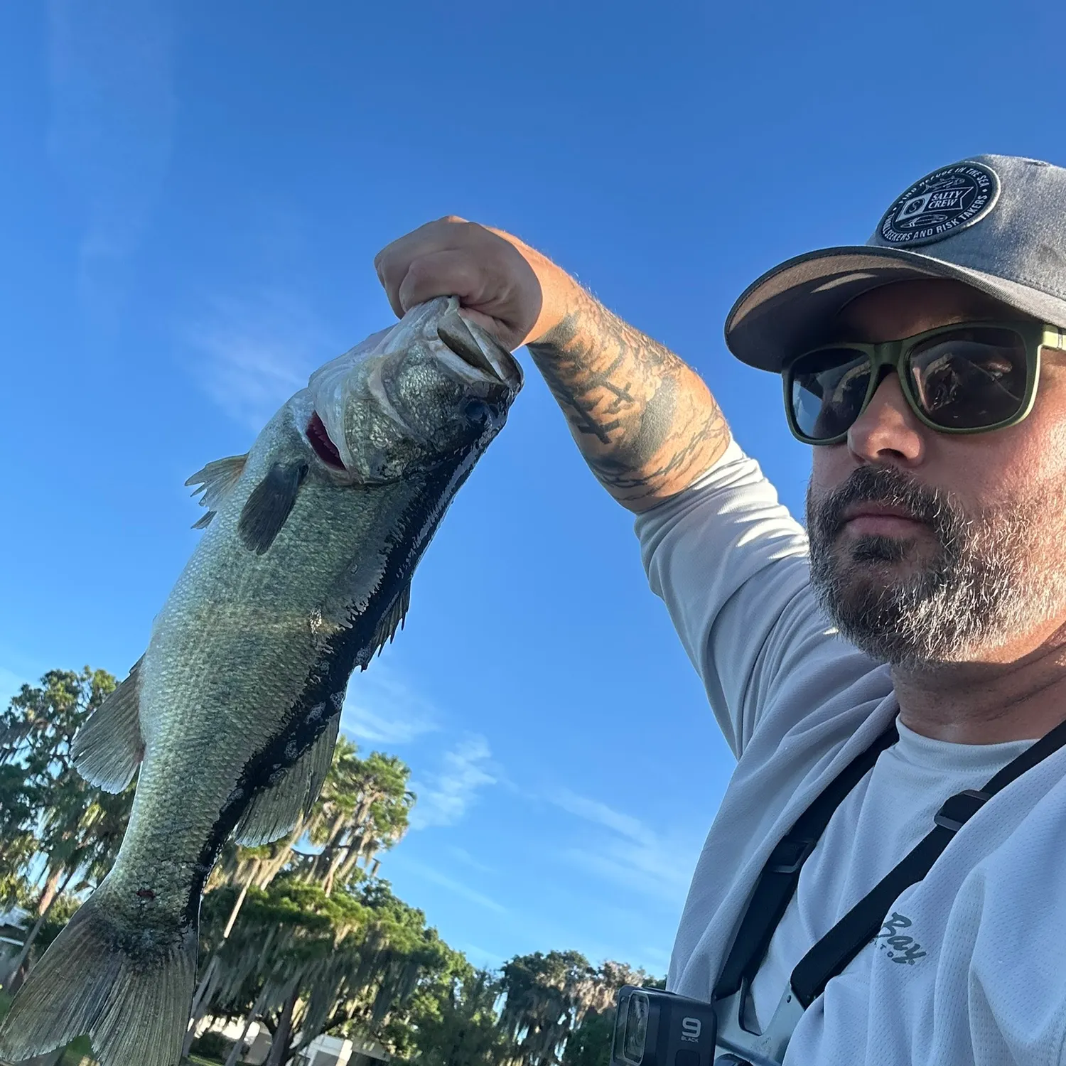 Largemouth bass caught on Fishbrain