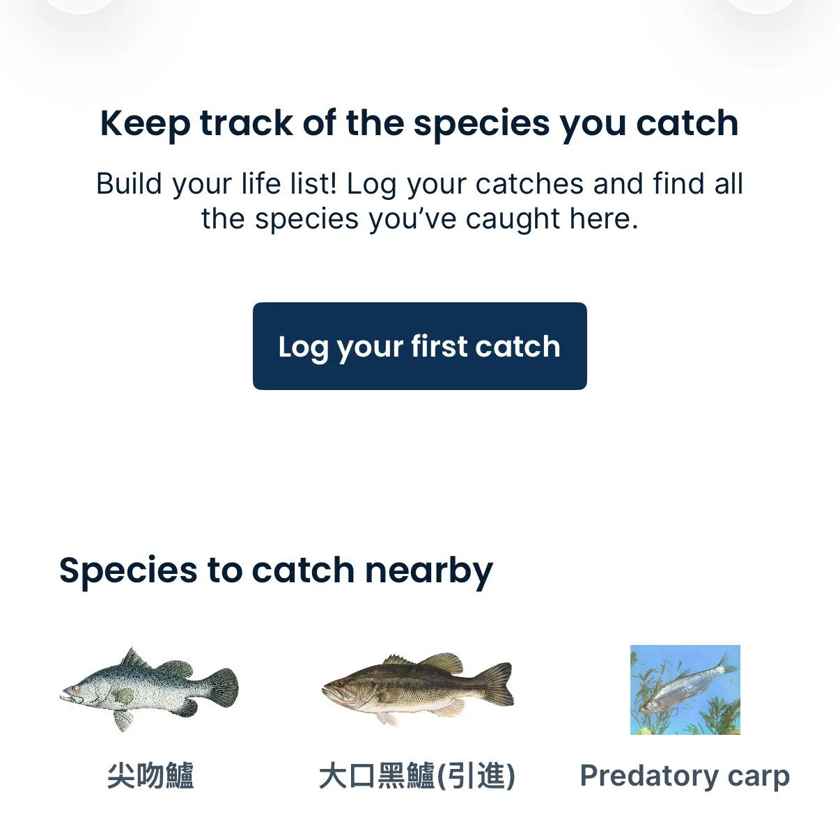 recently logged catches