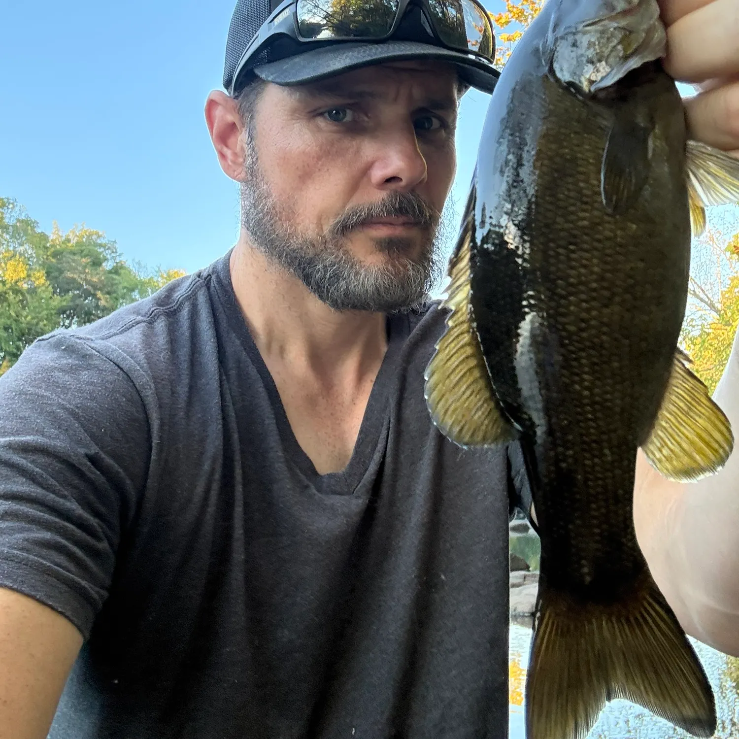 Smallmouth bass caught on Fishbrain