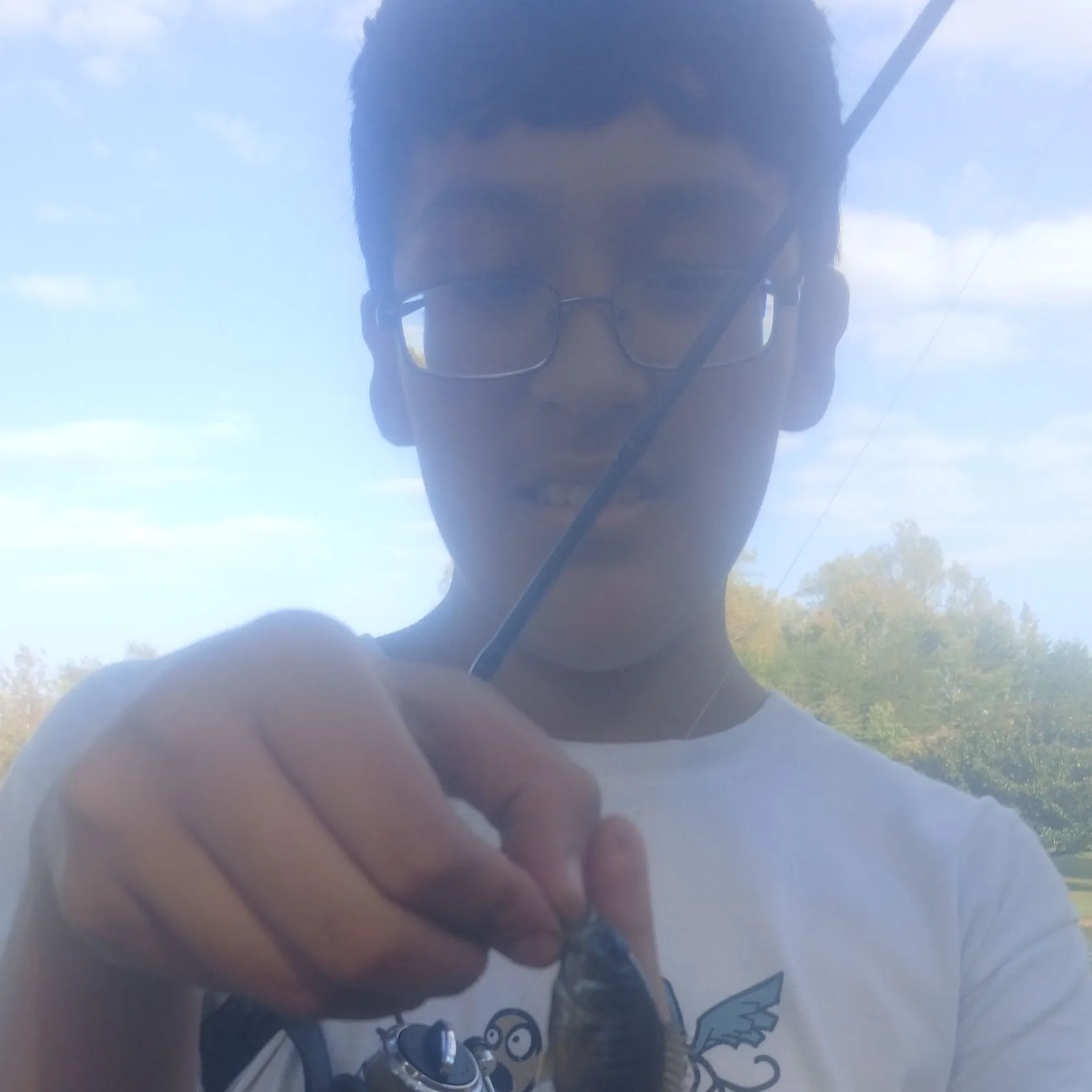 Bluegill caught on Fishbrain