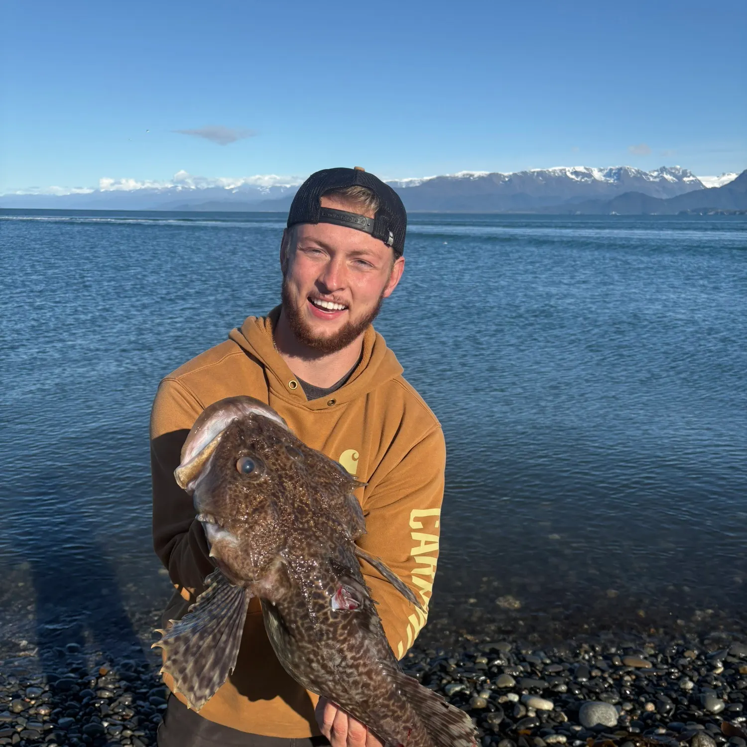 The most recent Great sculpin catches on Fishbrain