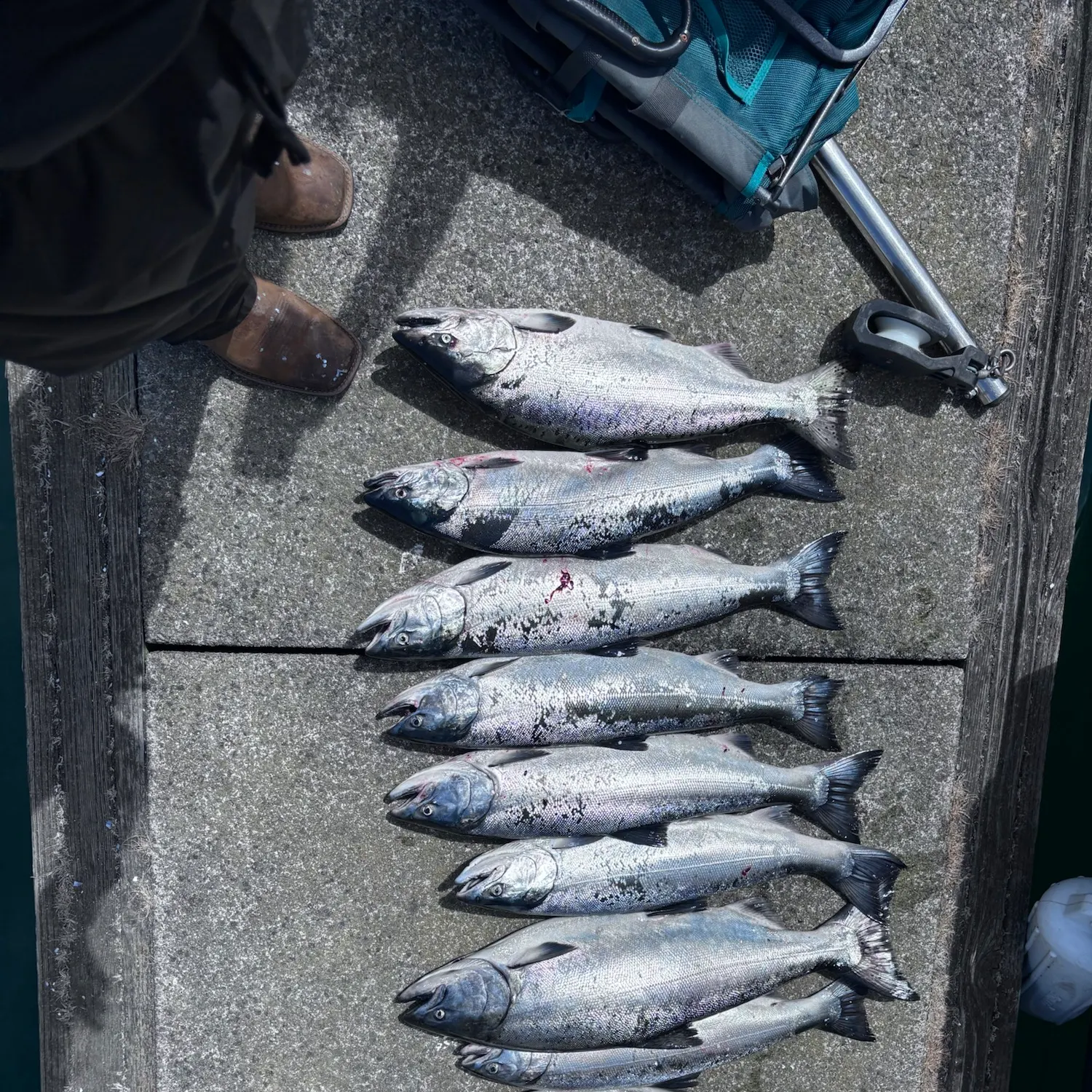 recently logged catches