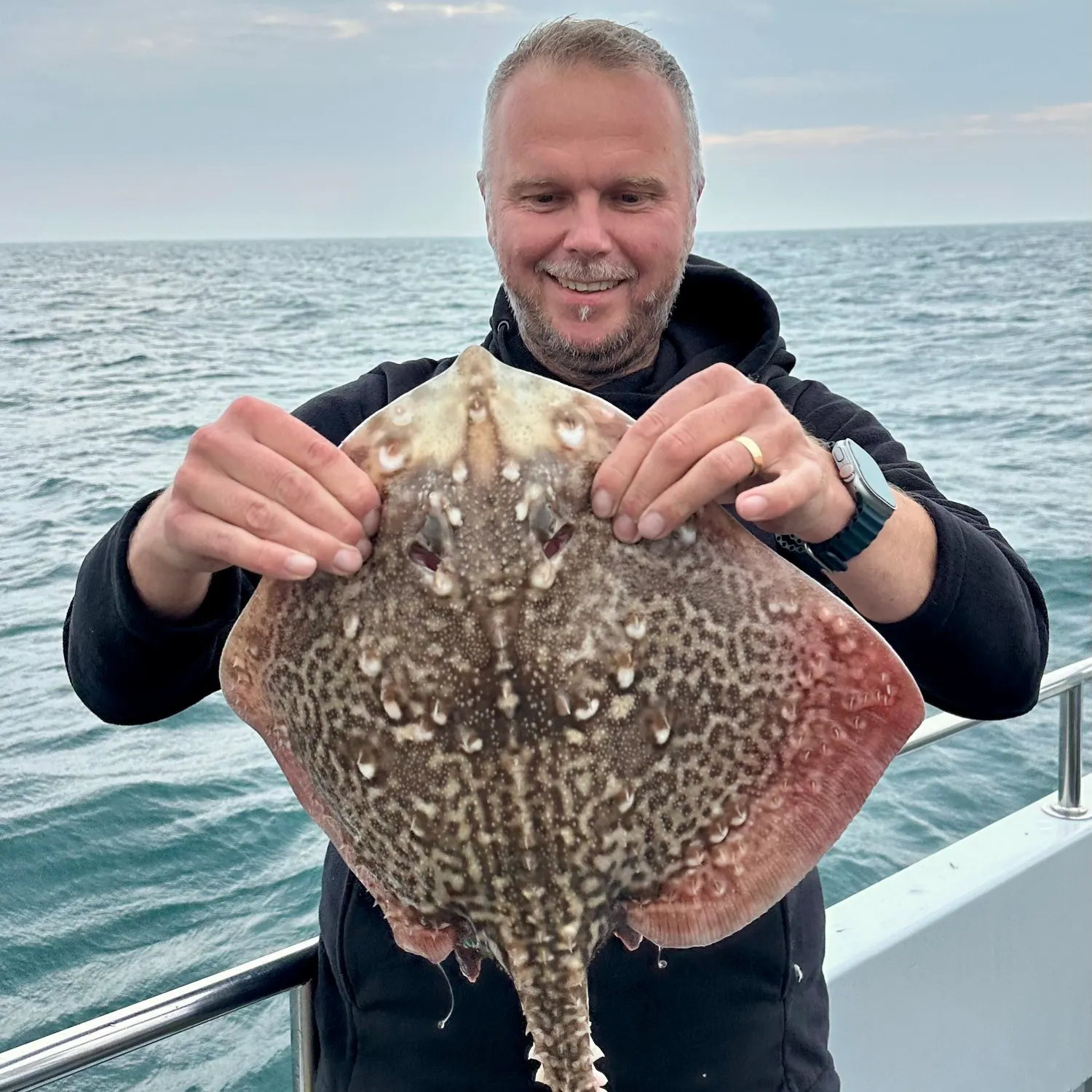 The most recent Thornback ray catches on Fishbrain